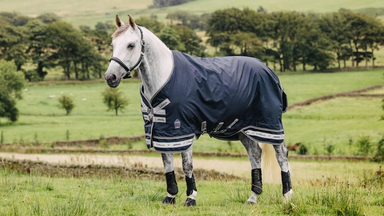 LeMieux Arika Storm-Tek Rug 100g-Horse Blanket-LeMieux-72" | 6'0"-Evolution Equestrian Co.