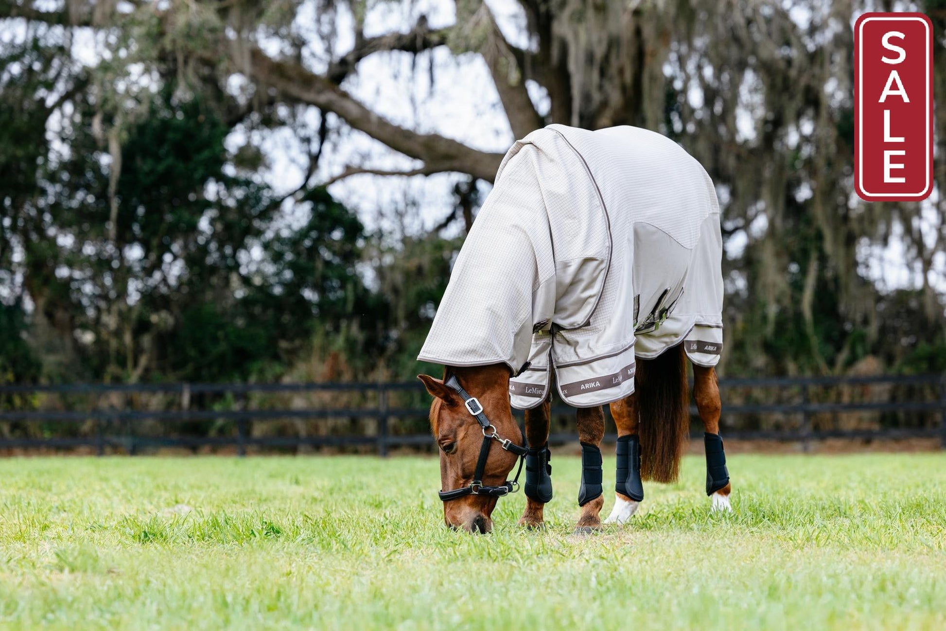 LeMieux Arika Sunstopper Sheet-Horse Blanket-LeMieux-5'9" - 69"-Evolution Equestrian Co.
