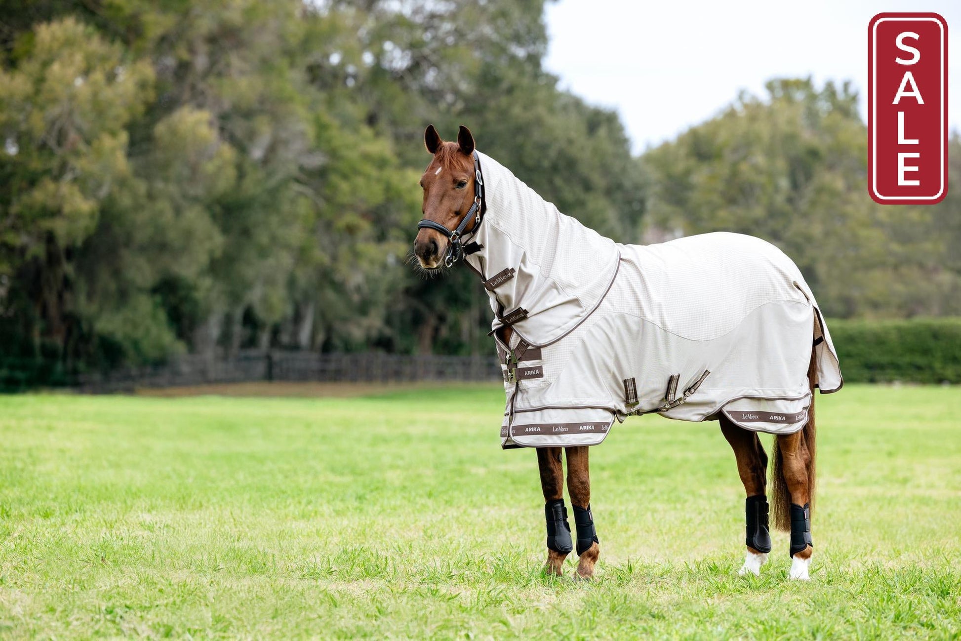 LeMieux Arika Sunstopper Sheet-Horse Blanket-LeMieux-5'9" - 69"-Evolution Equestrian Co.
