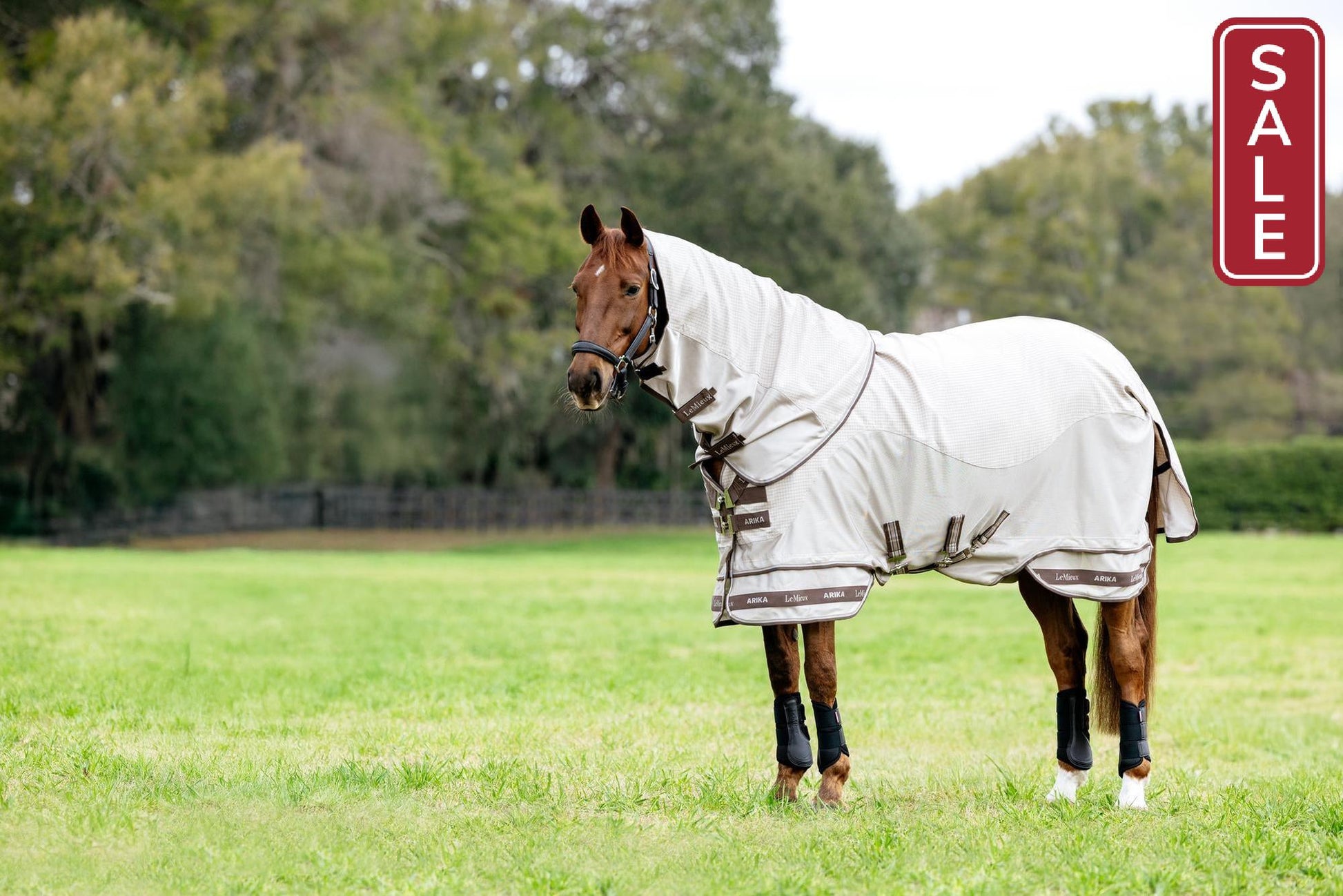 LeMieux Arika Sunstopper Sheet-Horse Blanket-LeMieux-5'9" - 69"-Evolution Equestrian Co.