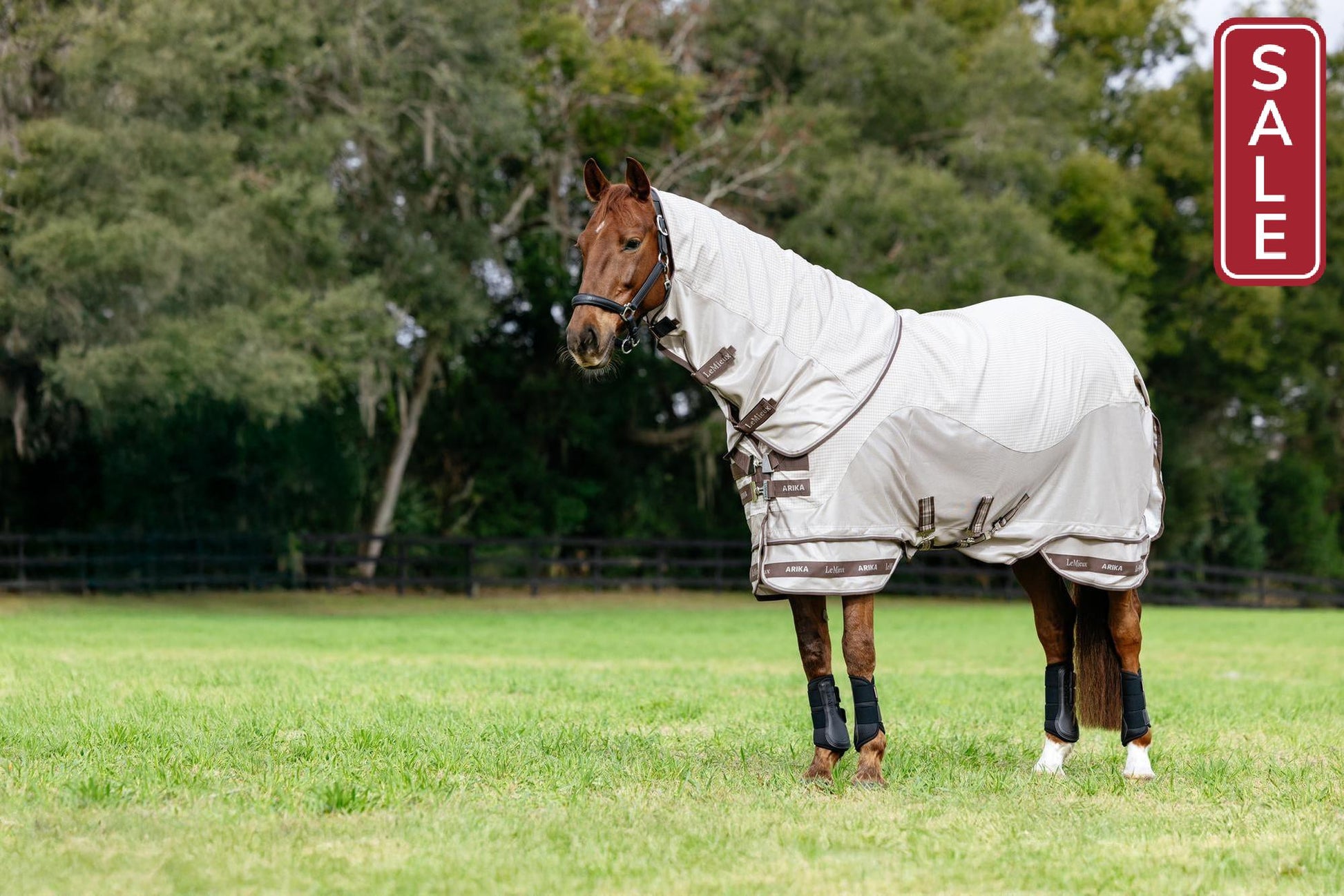 LeMieux Arika Sunstopper Sheet-Horse Blanket-LeMieux-5'9" - 69"-Evolution Equestrian Co.