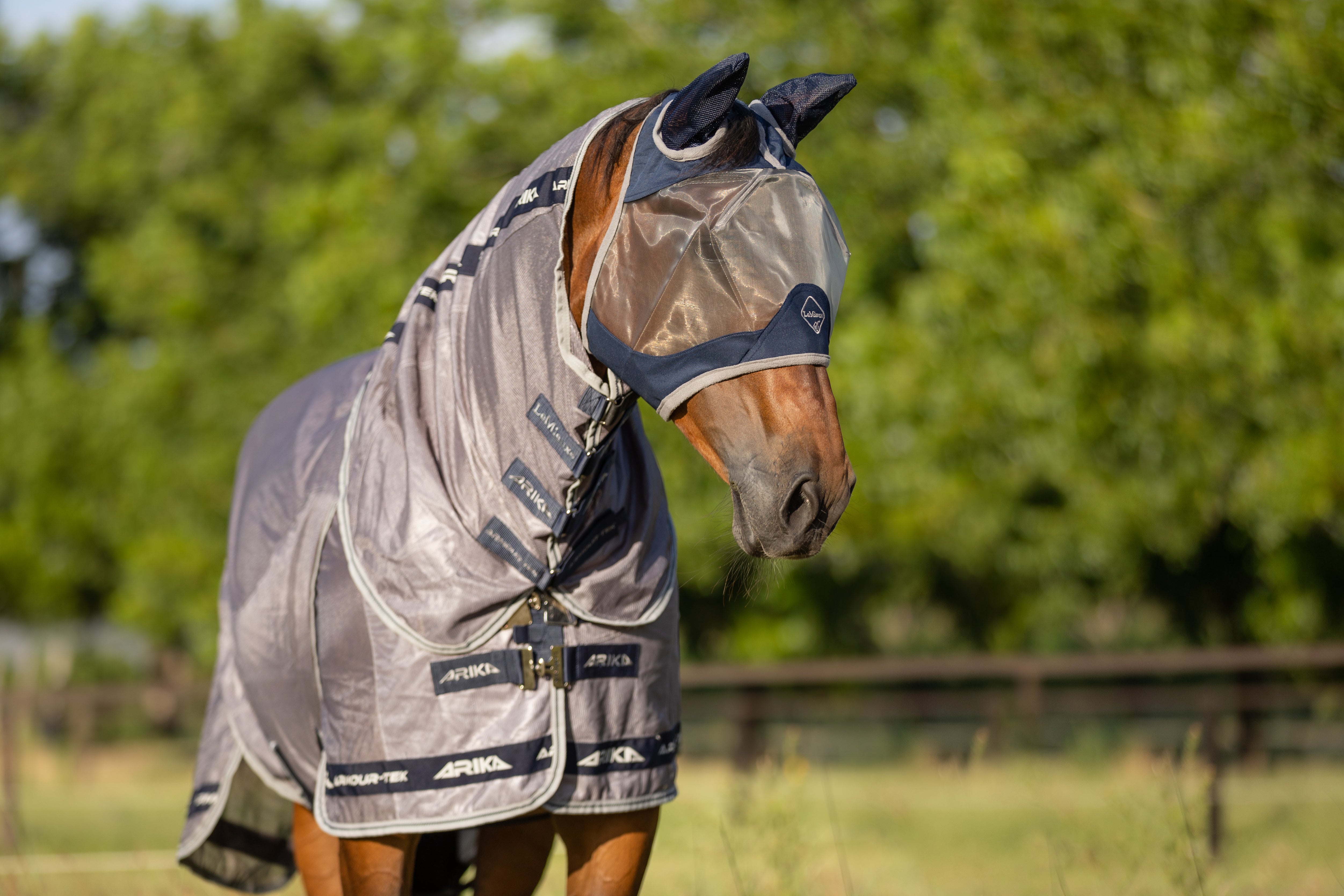 LeMieux Armour Shield Pro Fly Mask with Ears-Fly Mask-LeMieux-X Small (Small Pony)-Grey-Evolution Equestrian Co.