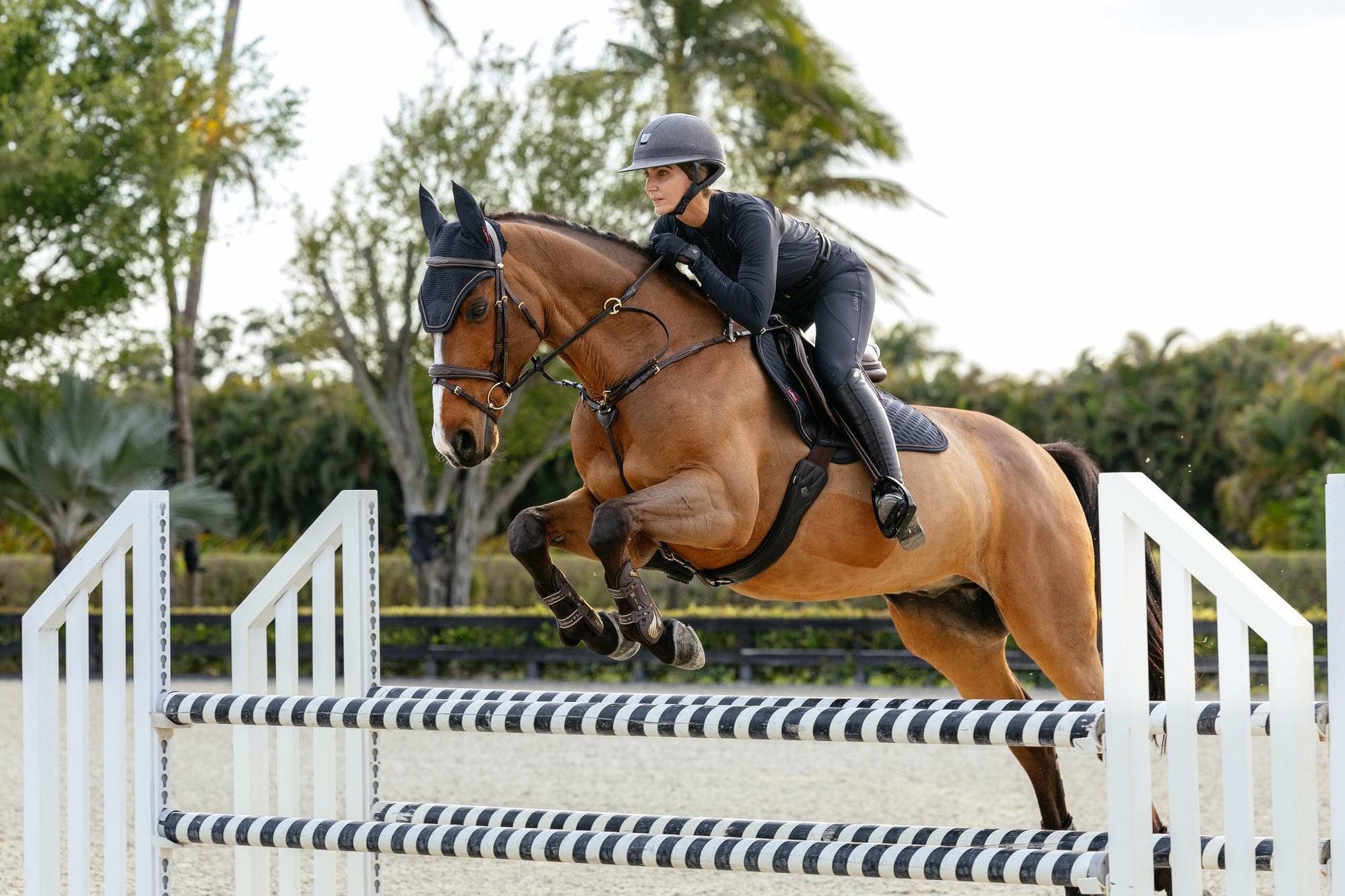 LeMieux Brilliance Close Contact Saddle Pad-English Saddle Pad-LeMieux-White-Evolution Equestrian Co.