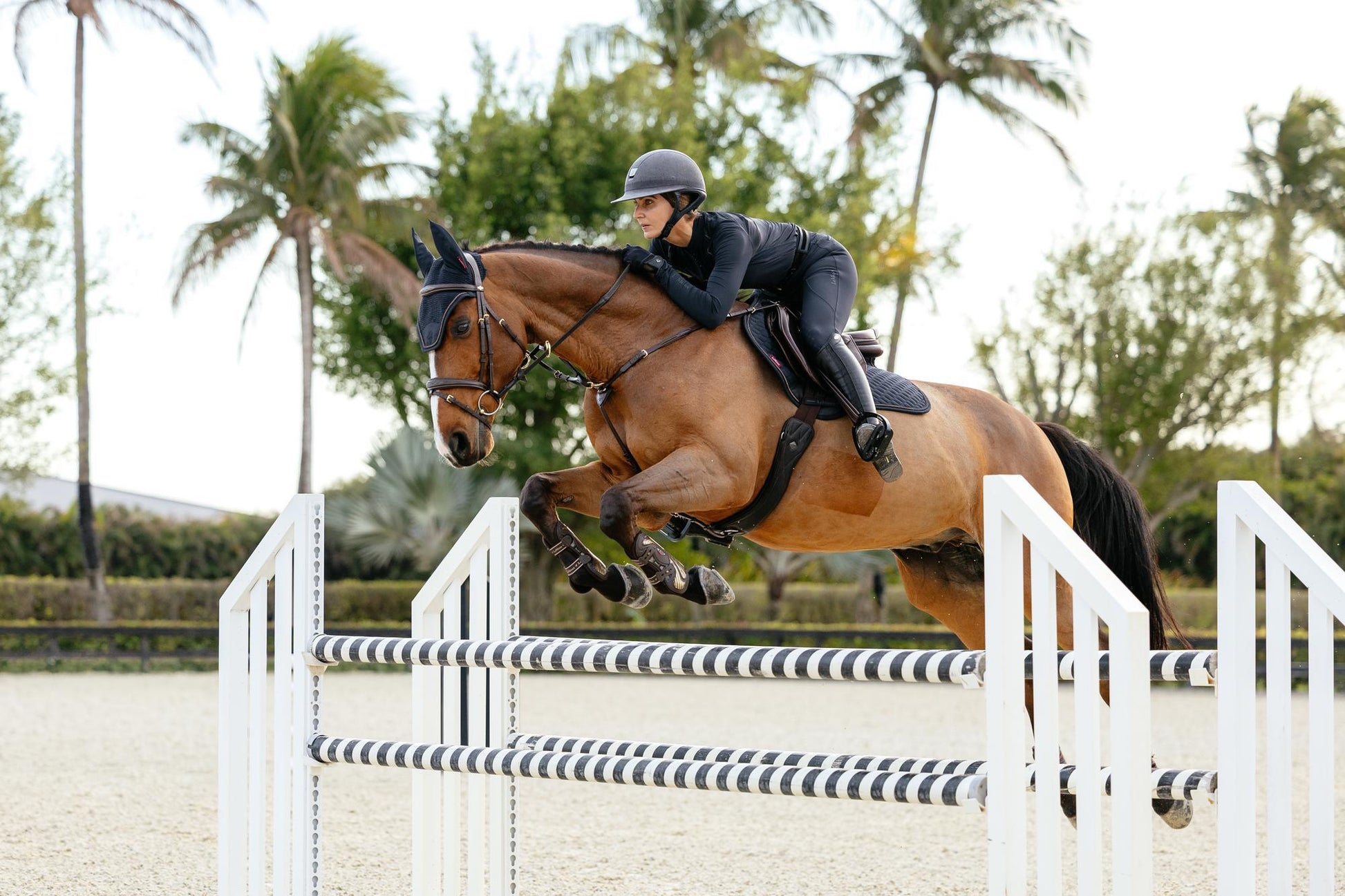 LeMieux Brilliance Close Contact Saddle Pad-English Saddle Pad-LeMieux-White-Evolution Equestrian Co.