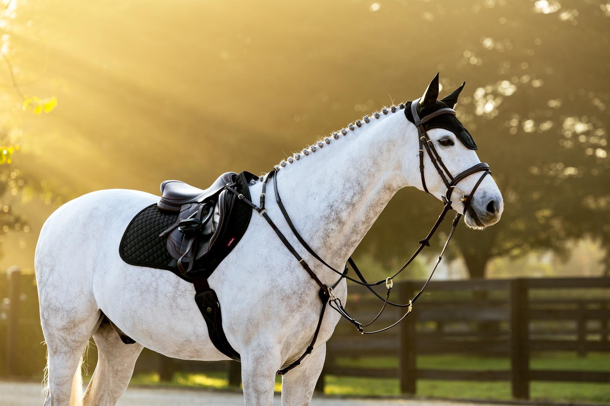 LeMieux Brilliance Close Contact Saddle Pad-English Saddle Pad-LeMieux-White-Evolution Equestrian Co.