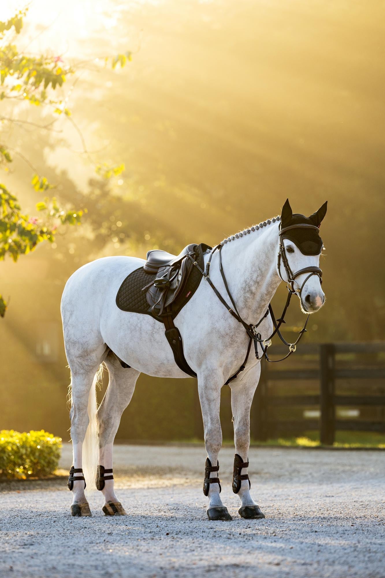 LeMieux Brilliance Close Contact Saddle Pad-English Saddle Pad-LeMieux-White-Evolution Equestrian Co.