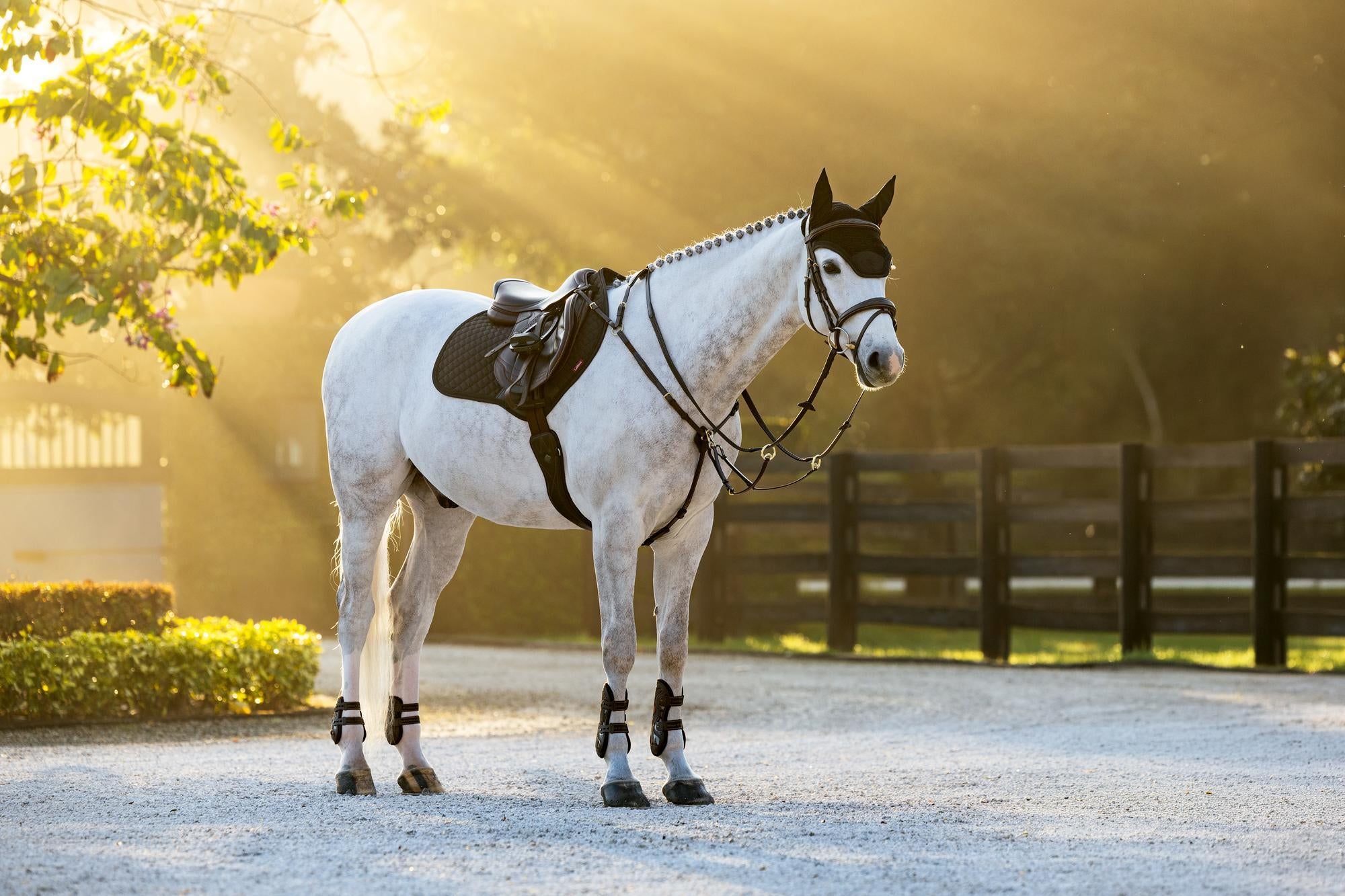 LeMieux Brilliance Close Contact Saddle Pad-English Saddle Pad-LeMieux-White-Evolution Equestrian Co.