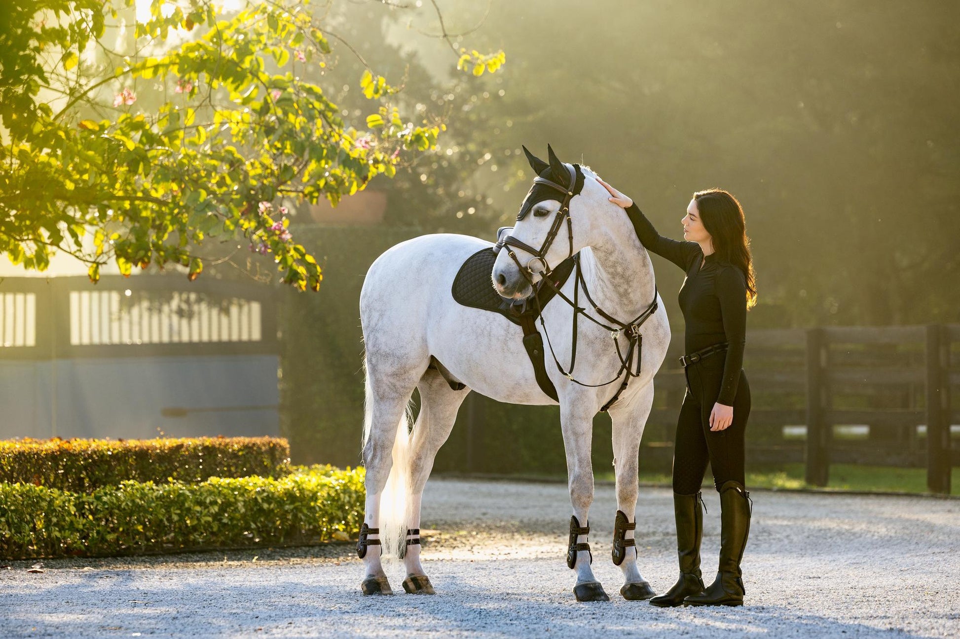 LeMieux Brilliance Close Contact Saddle Pad-English Saddle Pad-LeMieux-White-Evolution Equestrian Co.