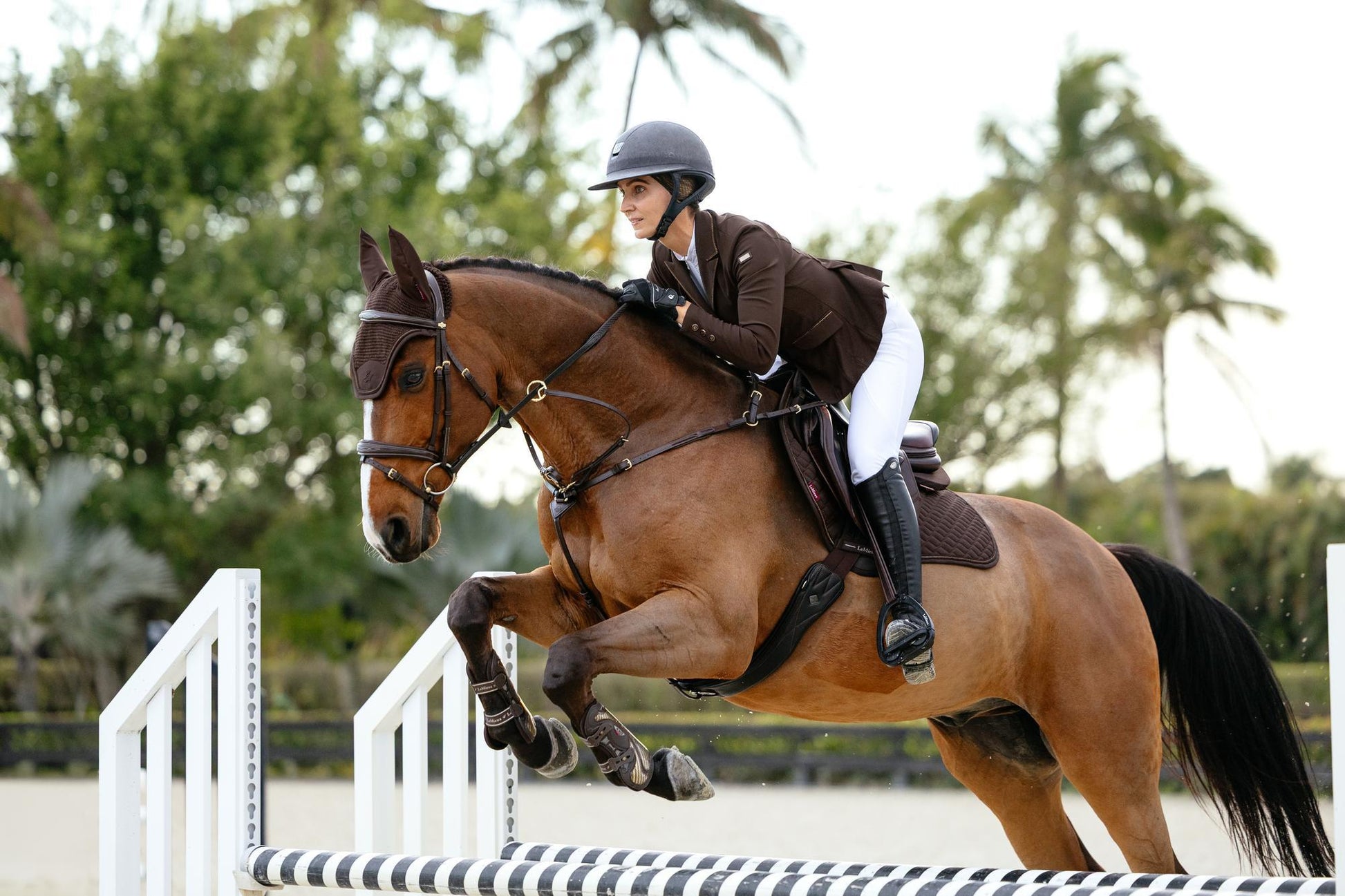 LeMieux Brilliance Close Contact Saddle Pad-English Saddle Pad-LeMieux-White-Evolution Equestrian Co.