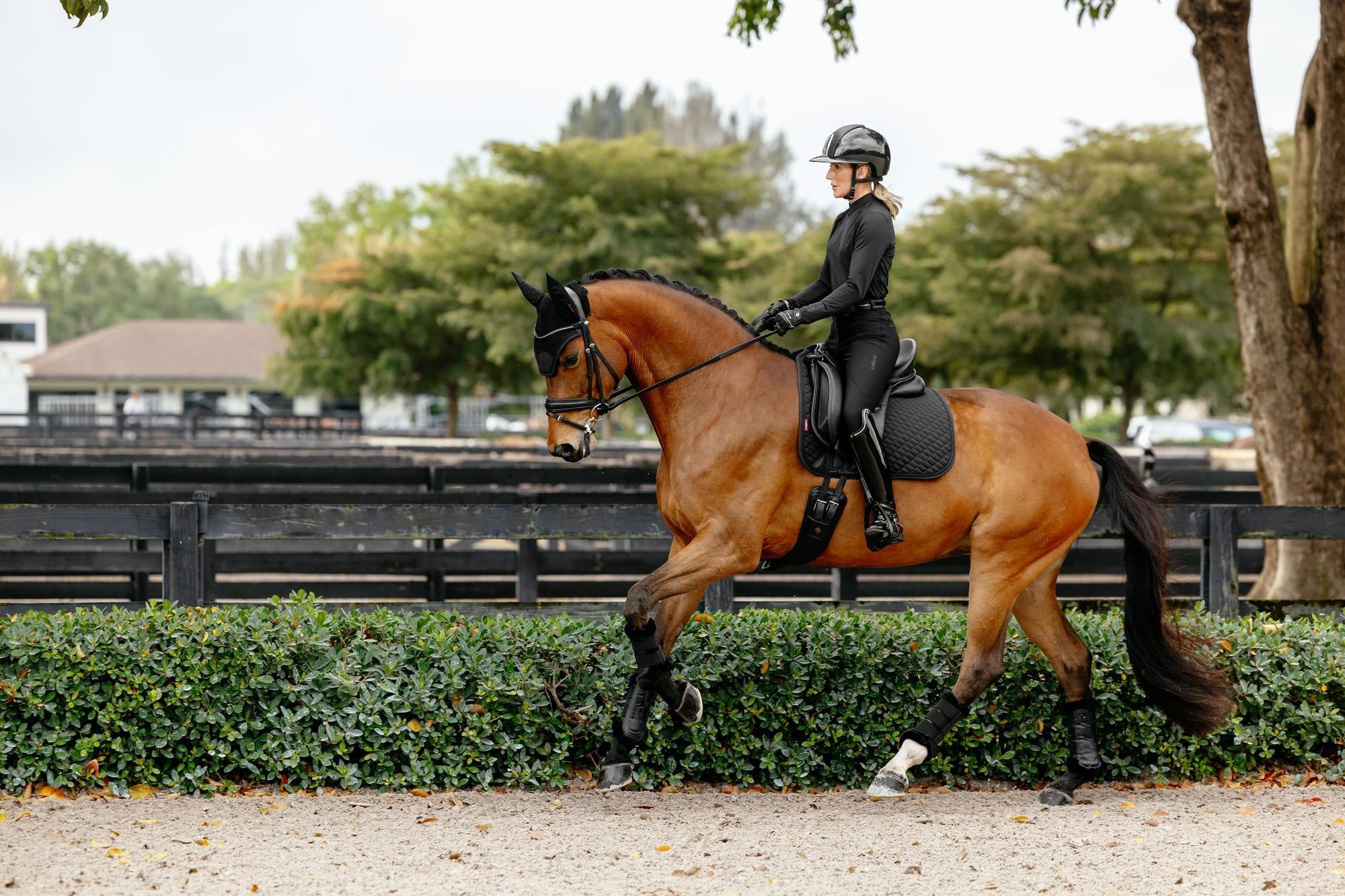 LeMieux Brilliance Dressage Saddle Pad-English Saddle Pad-LeMieux-White-Evolution Equestrian Co.