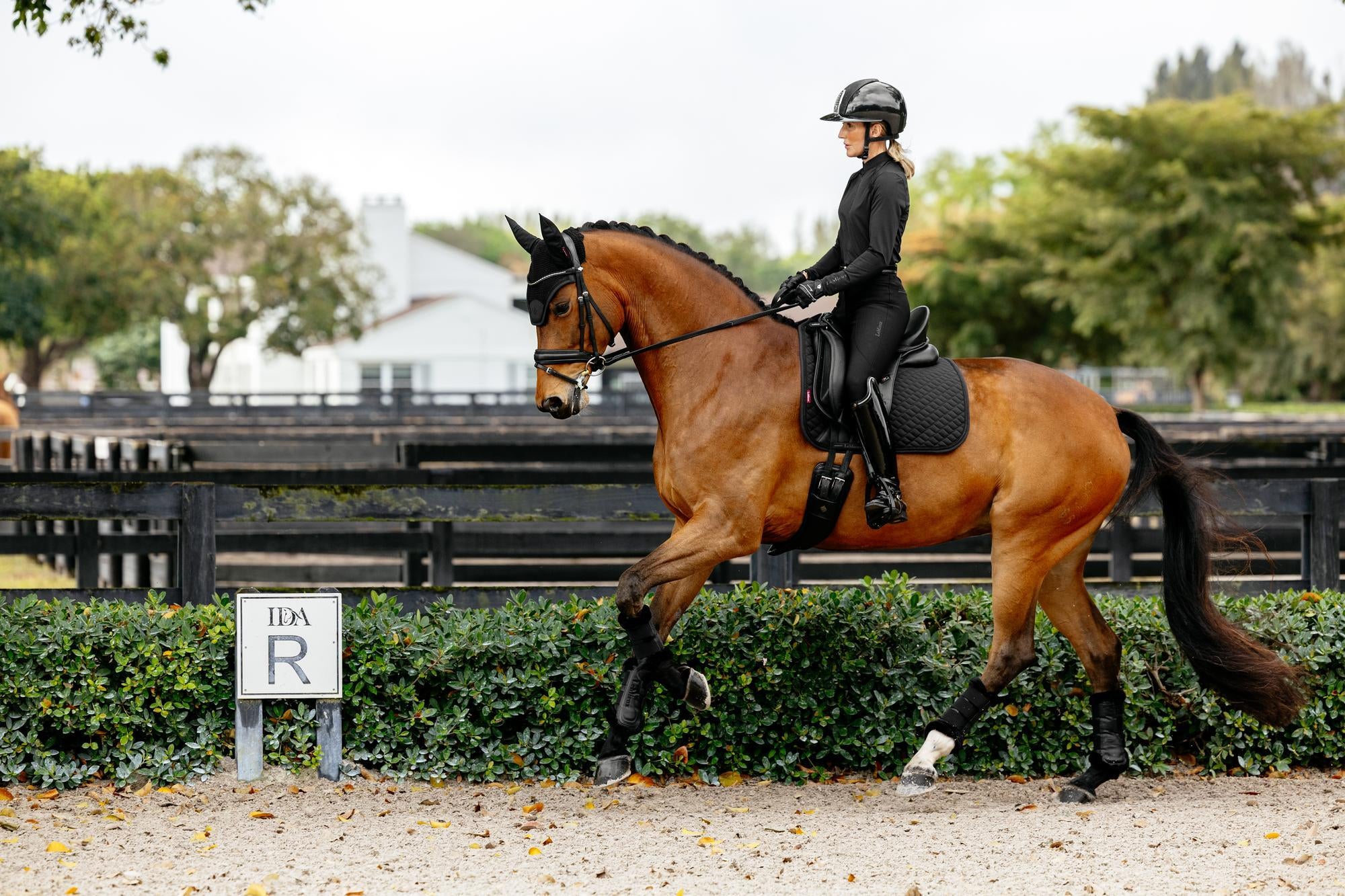 LeMieux Brilliance Dressage Saddle Pad-English Saddle Pad-LeMieux-White-Evolution Equestrian Co.