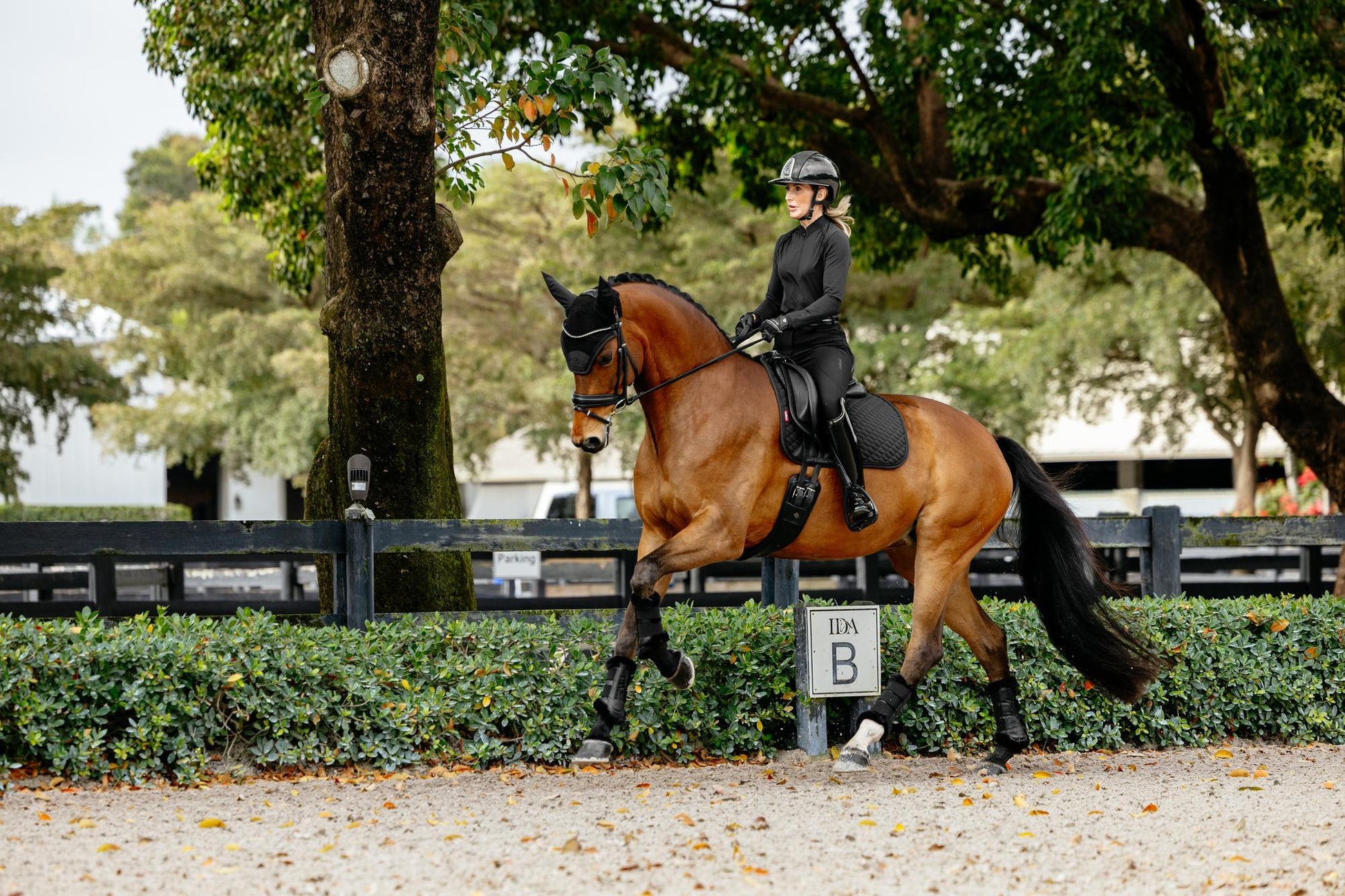 LeMieux Brilliance Dressage Saddle Pad-English Saddle Pad-LeMieux-White-Evolution Equestrian Co.