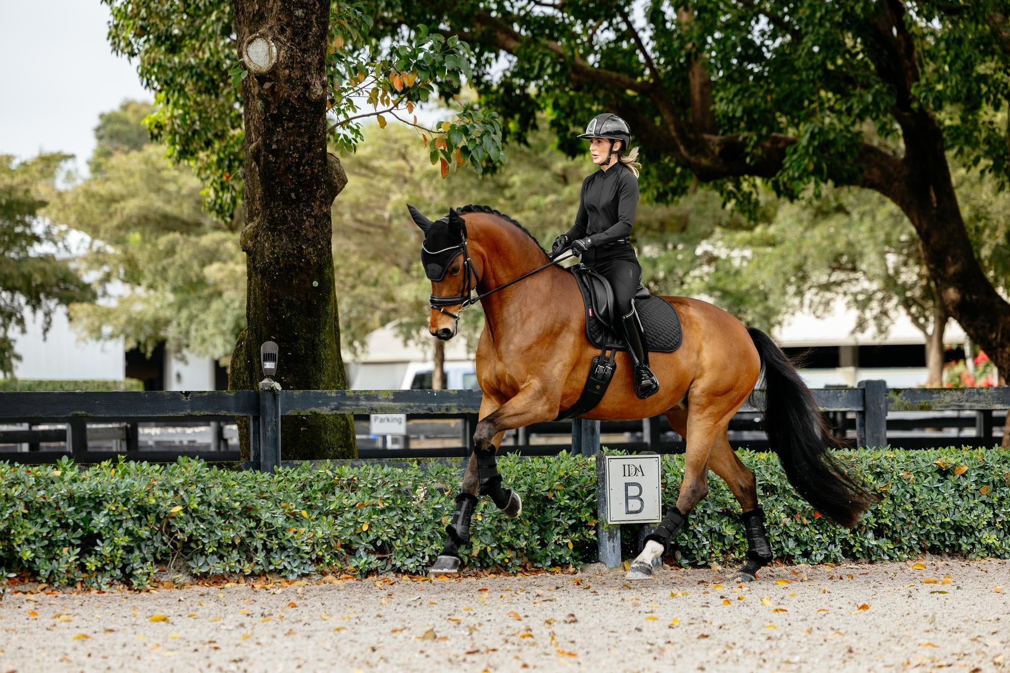 LeMieux Brilliance Dressage Saddle Pad-English Saddle Pad-LeMieux-White-Evolution Equestrian Co.