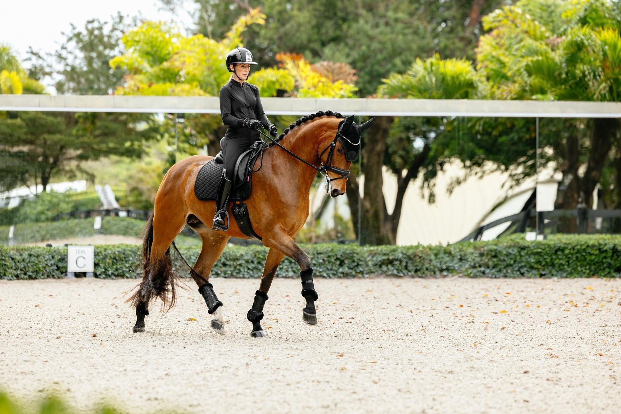 LeMieux Brilliance Dressage Saddle Pad-English Saddle Pad-LeMieux-White-Evolution Equestrian Co.
