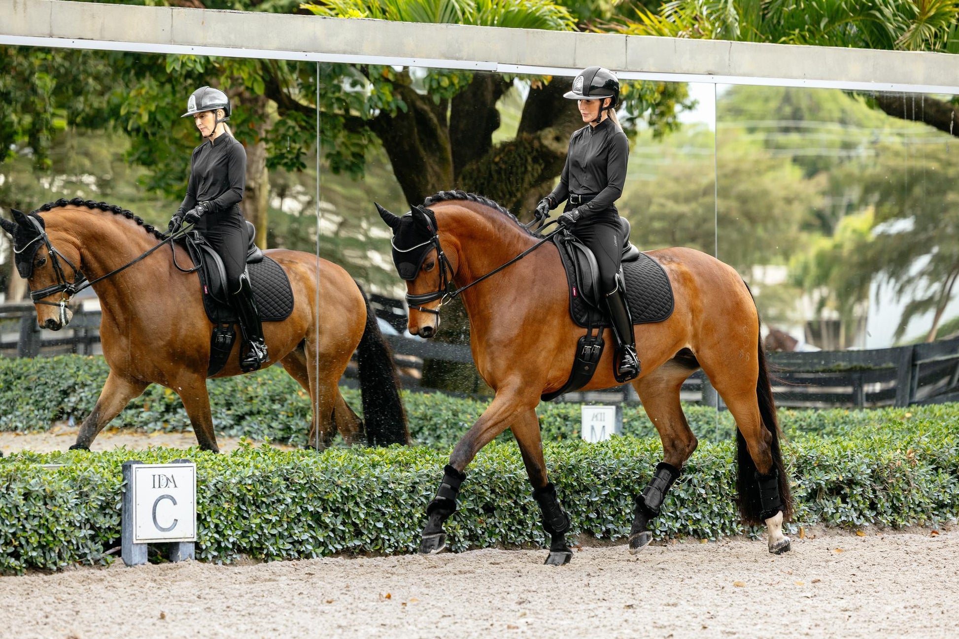LeMieux Brilliance Dressage Saddle Pad-English Saddle Pad-LeMieux-White-Evolution Equestrian Co.