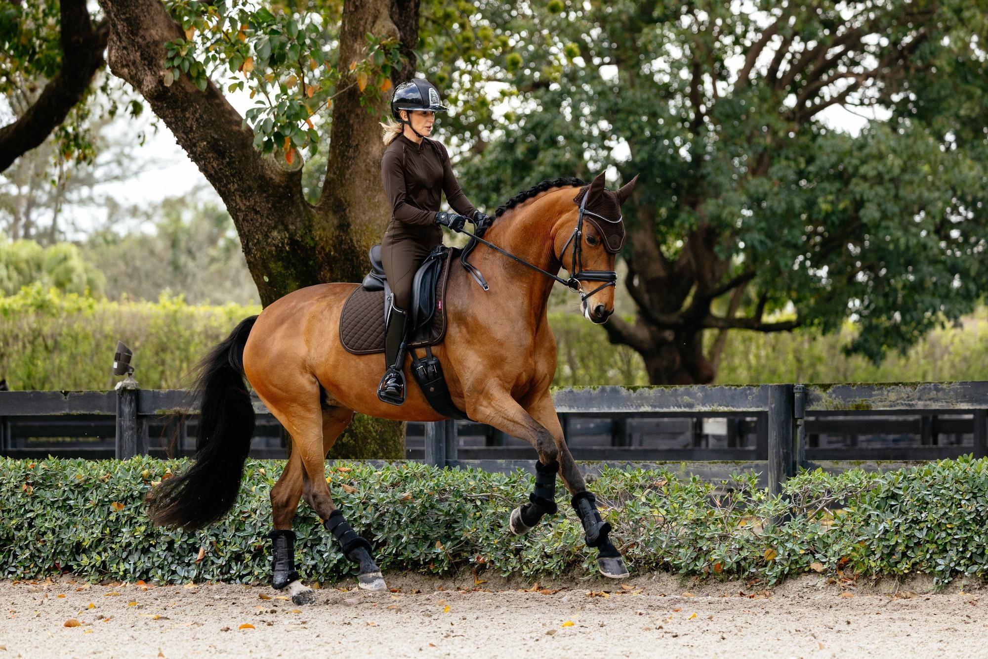 LeMieux Brilliance Dressage Saddle Pad-English Saddle Pad-LeMieux-White-Evolution Equestrian Co.