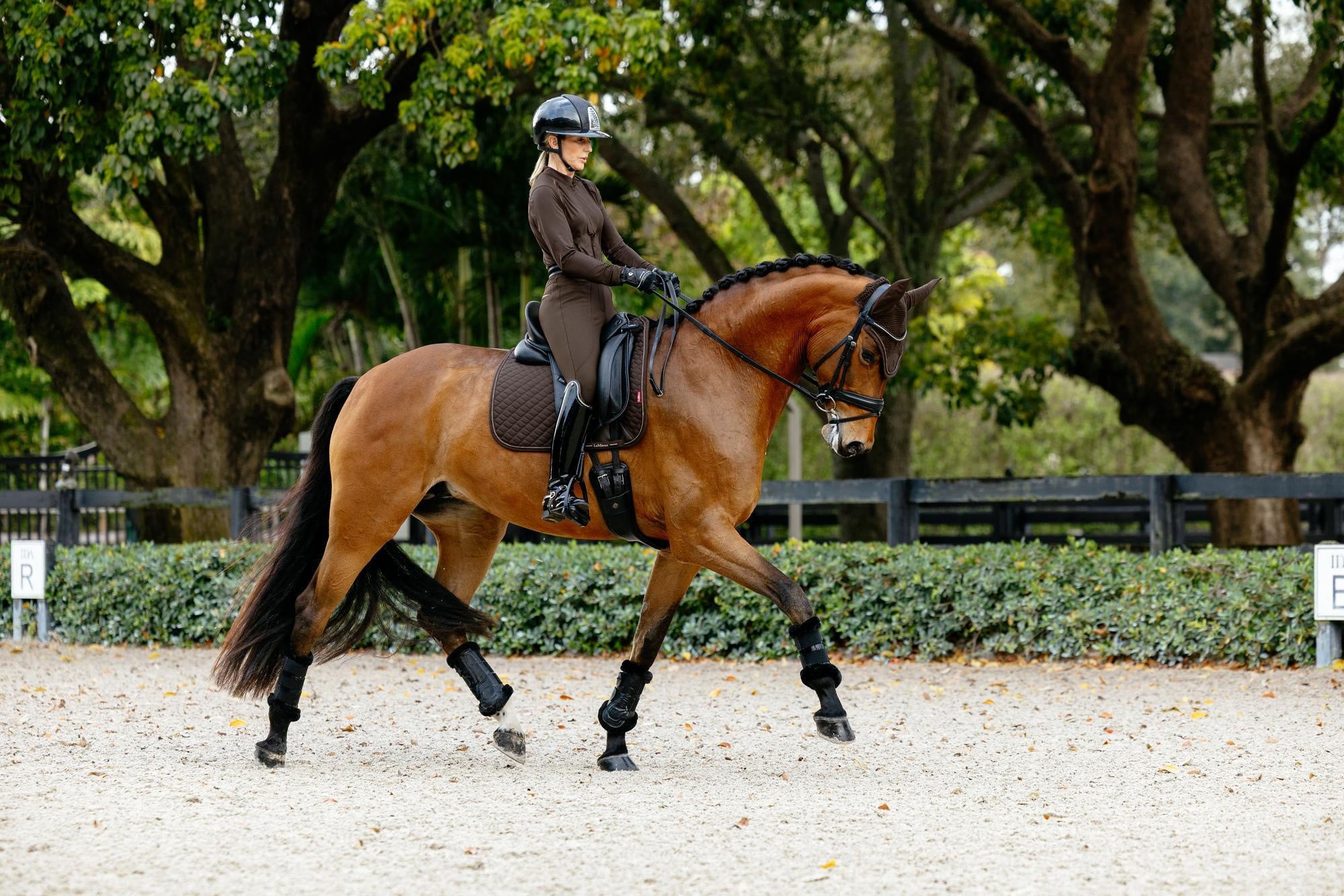LeMieux Brilliance Dressage Saddle Pad-English Saddle Pad-LeMieux-White-Evolution Equestrian Co.