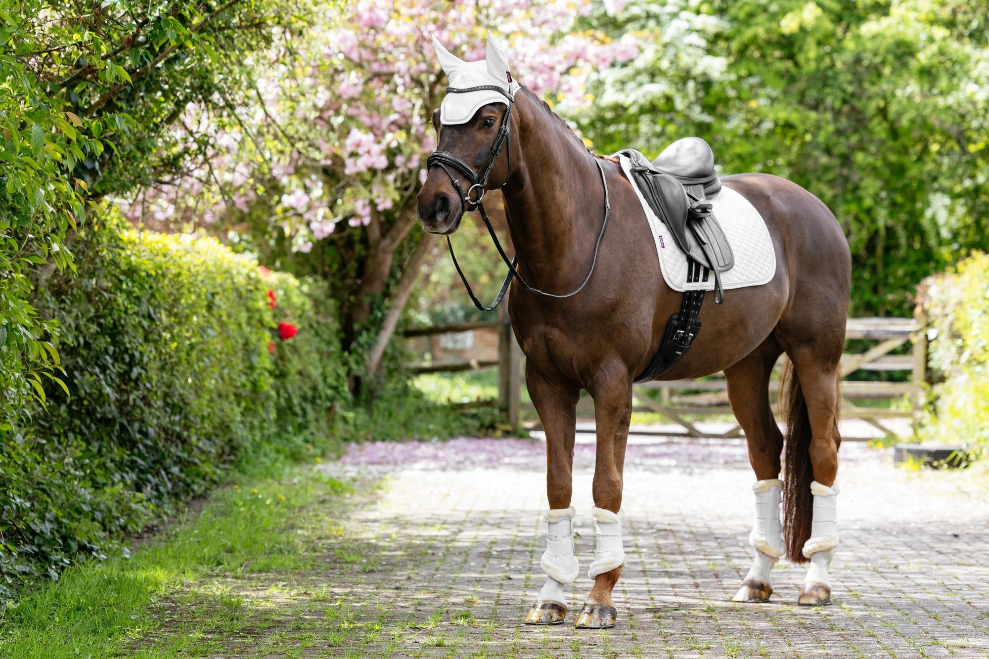 LeMieux Brilliance Dressage Saddle Pad-English Saddle Pad-LeMieux-White-Evolution Equestrian Co.