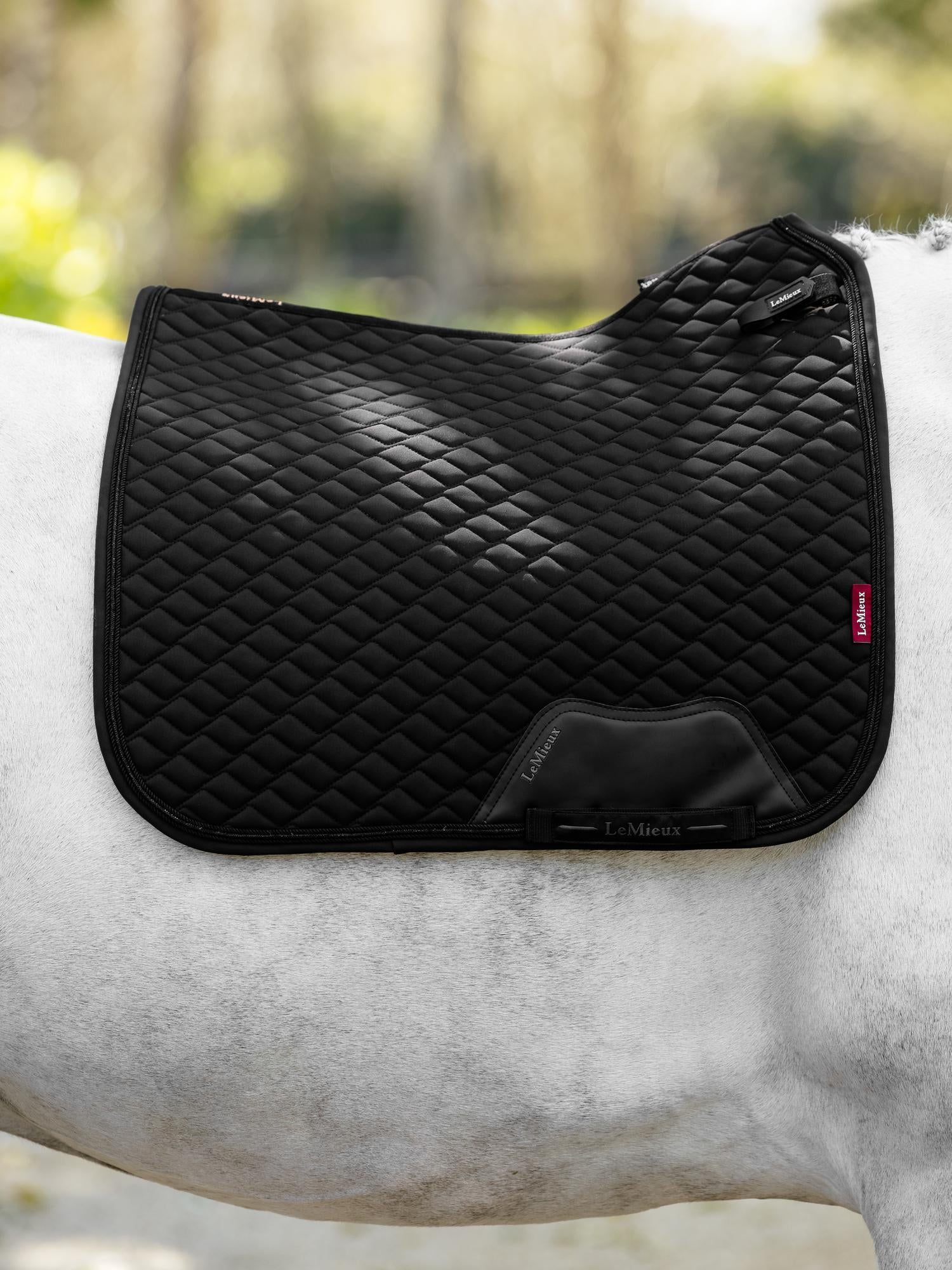 LeMieux Brilliance Dressage Saddle Pad-English Saddle Pad-LeMieux-White-Evolution Equestrian Co.