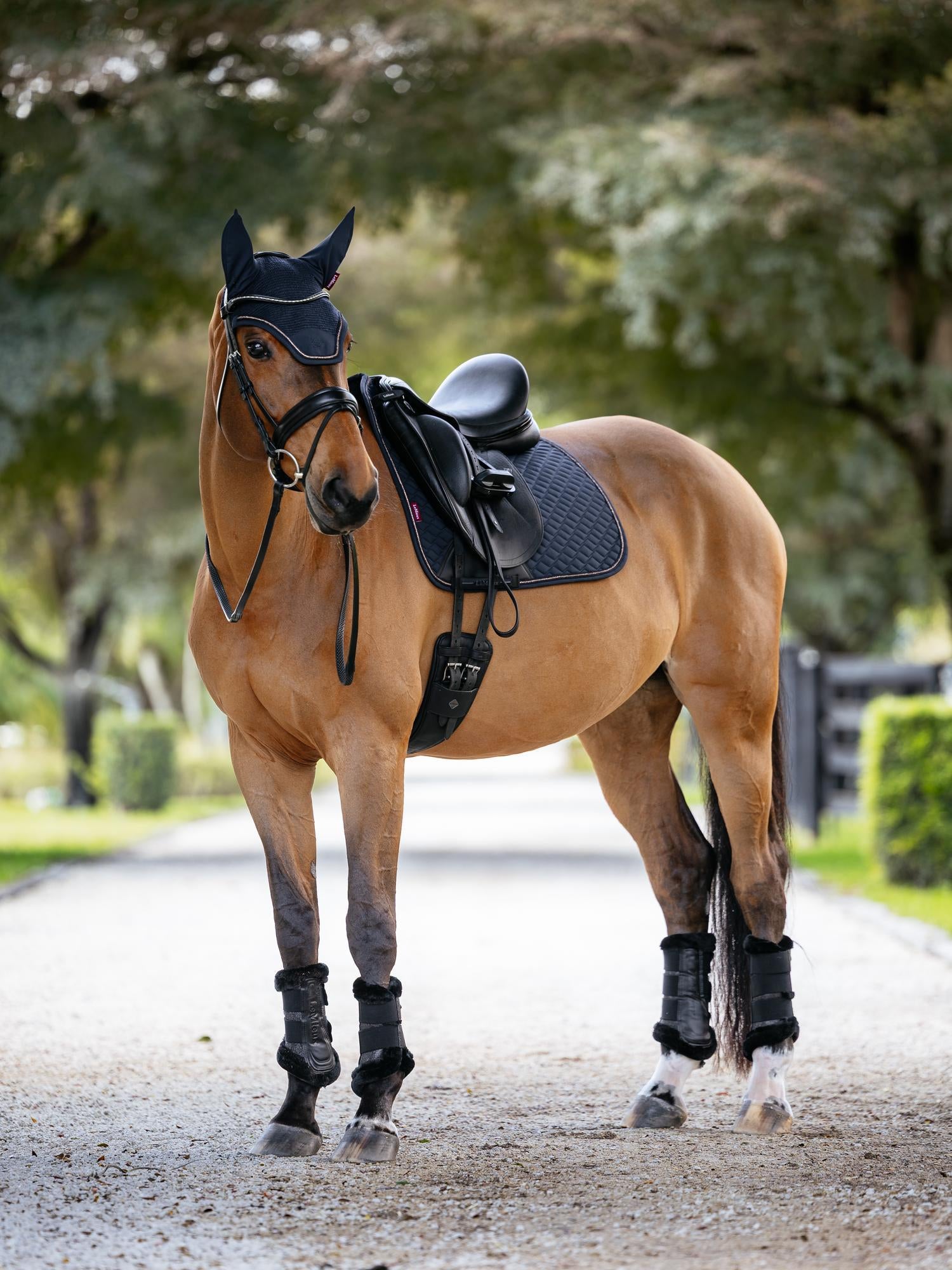 LeMieux Brilliance Dressage Saddle Pad-English Saddle Pad-LeMieux-White-Evolution Equestrian Co.