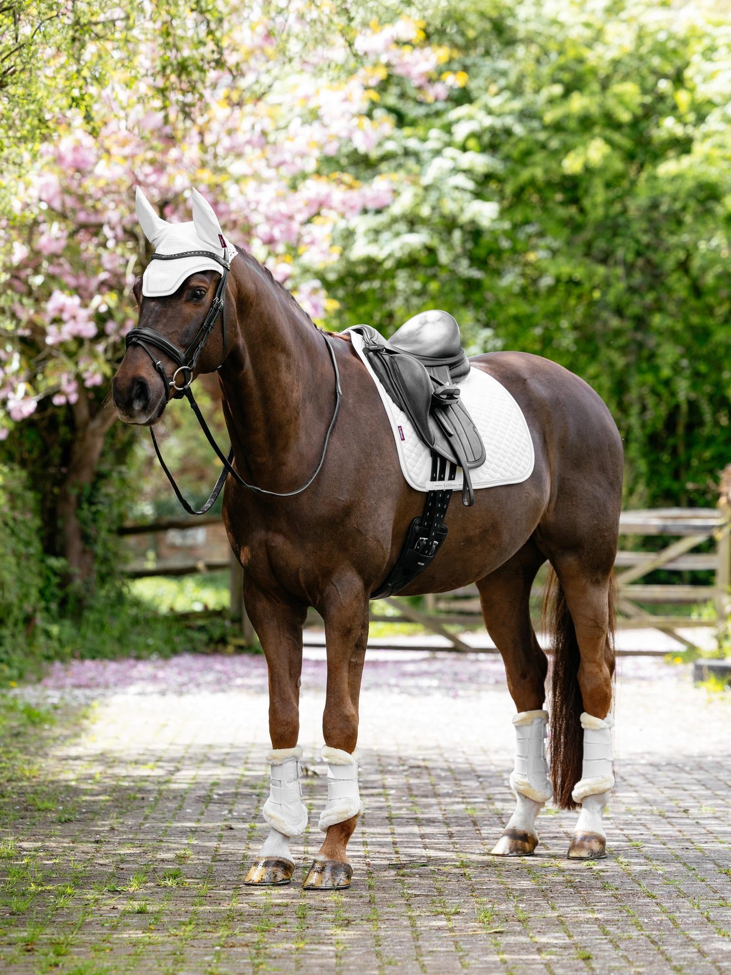 LeMieux Brilliance Dressage Saddle Pad-English Saddle Pad-LeMieux-White-Evolution Equestrian Co.
