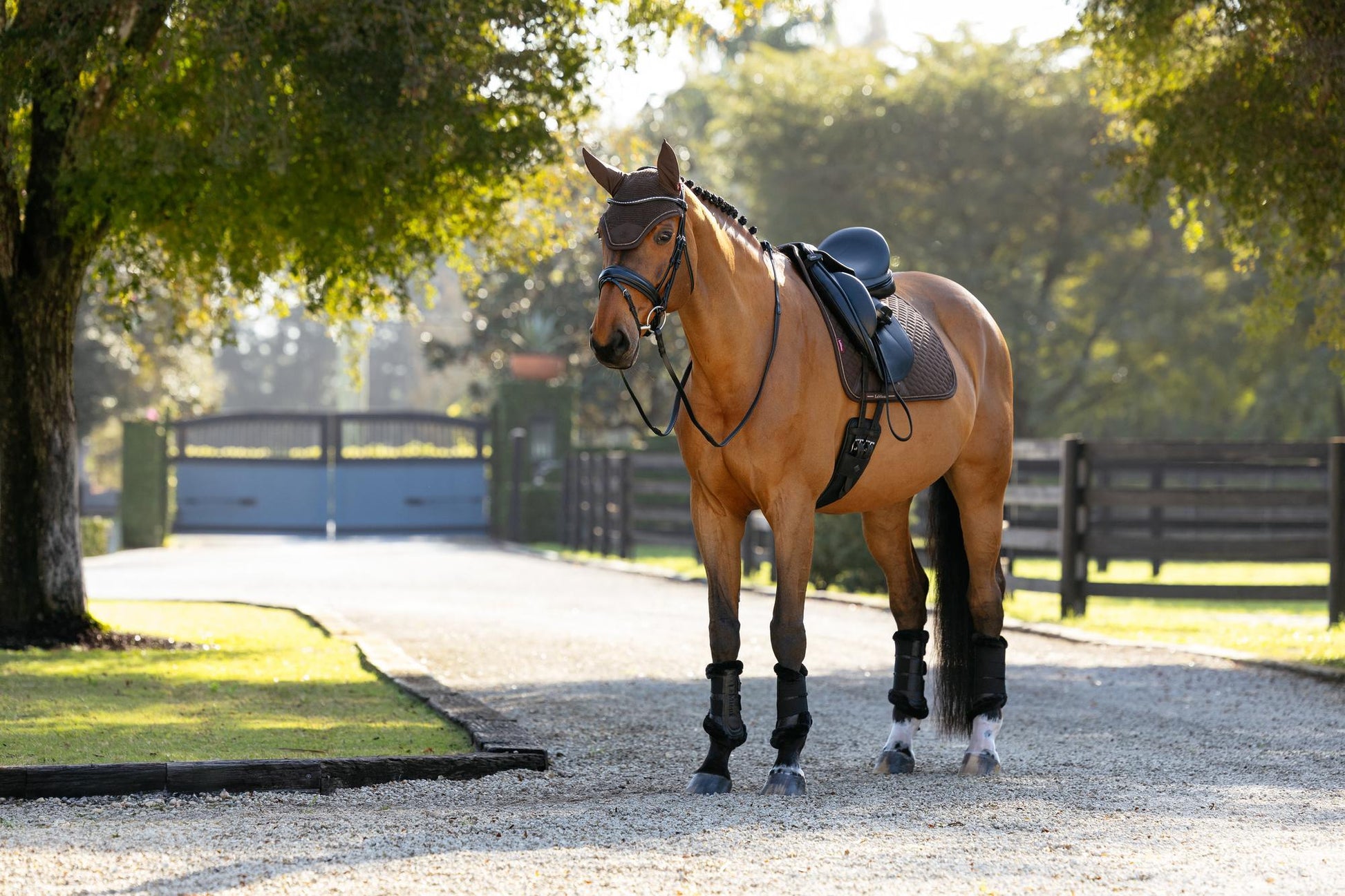 LeMieux Brilliance Dressage Saddle Pad-English Saddle Pad-LeMieux-White-Evolution Equestrian Co.