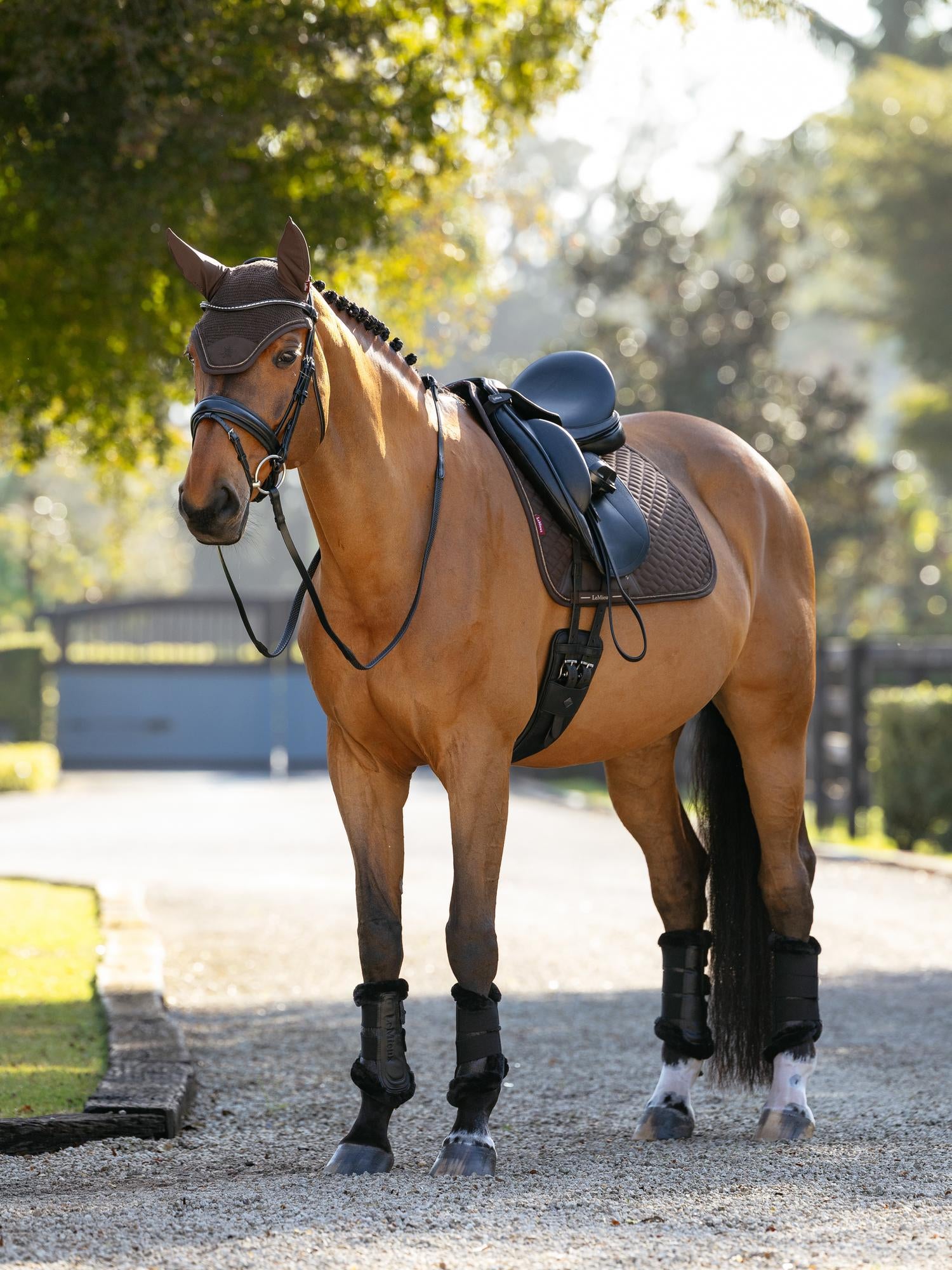 LeMieux Brilliance Dressage Saddle Pad-English Saddle Pad-LeMieux-White-Evolution Equestrian Co.