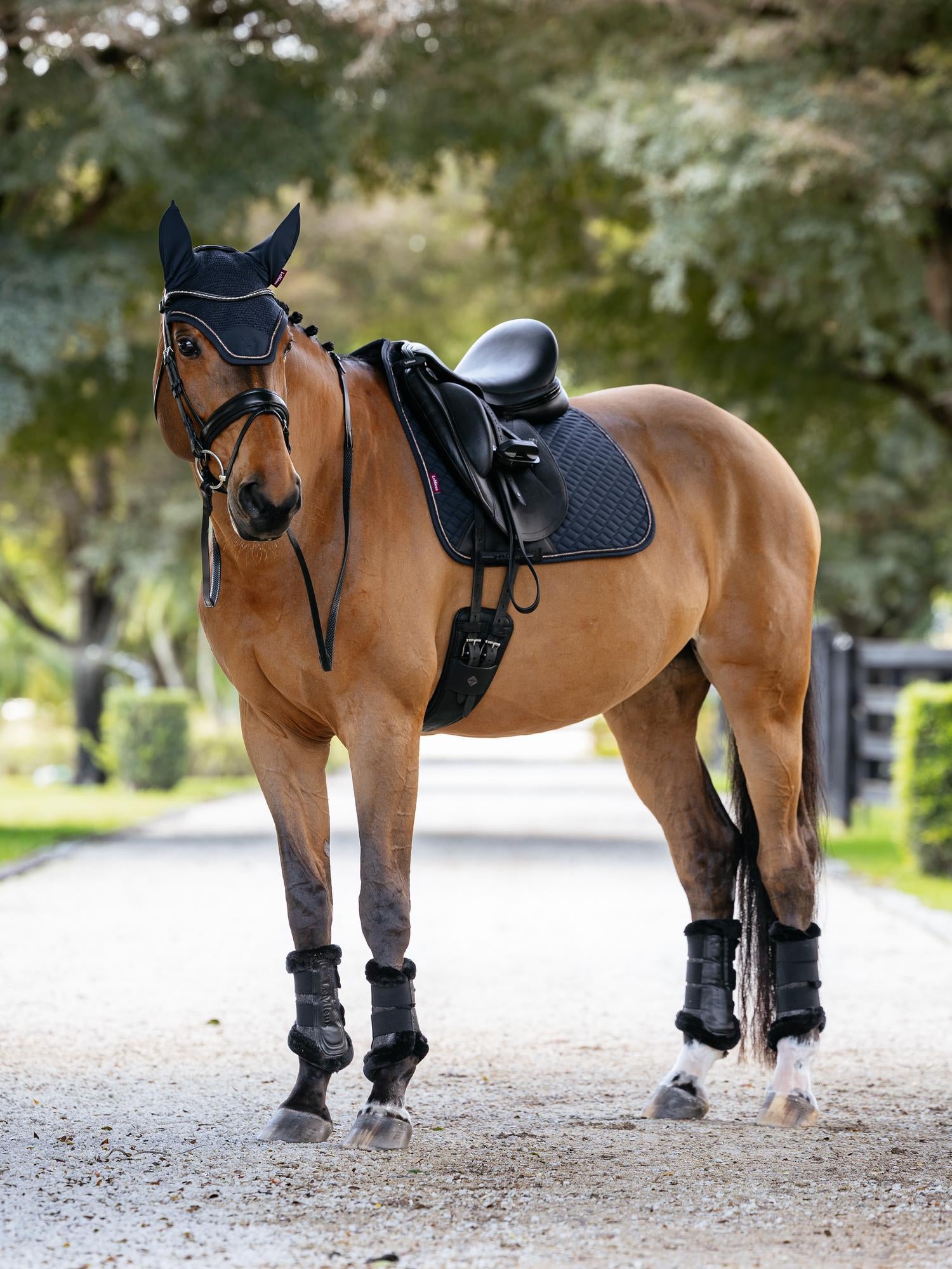 LeMieux Brilliance Dressage Saddle Pad-English Saddle Pad-LeMieux-White-Evolution Equestrian Co.