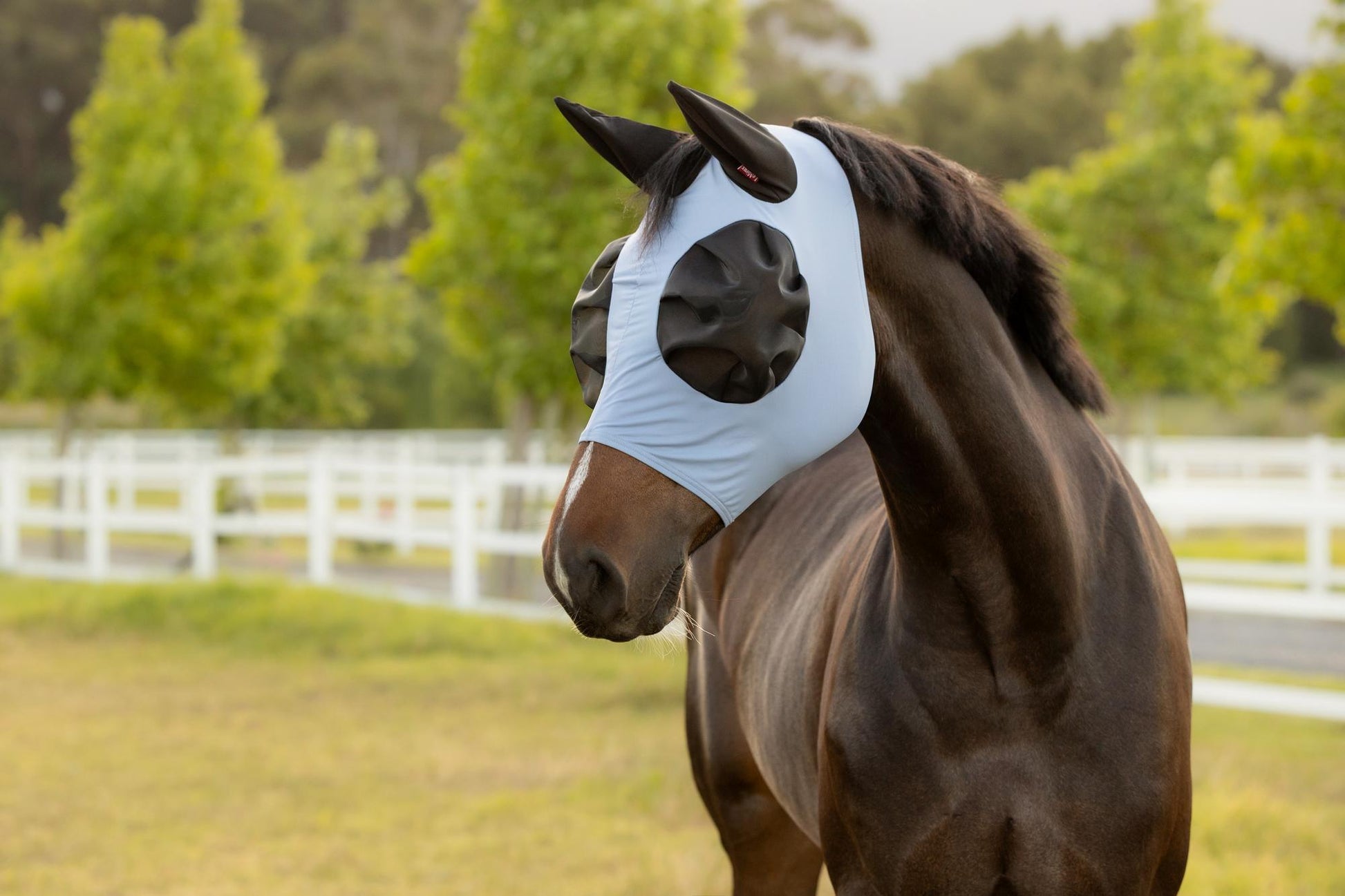 LeMieux Bug Relief Fly Mask Powder Blue-Fly Mask-LeMieux-XSmall (Small Pony)-Evolution Equestrian Co.