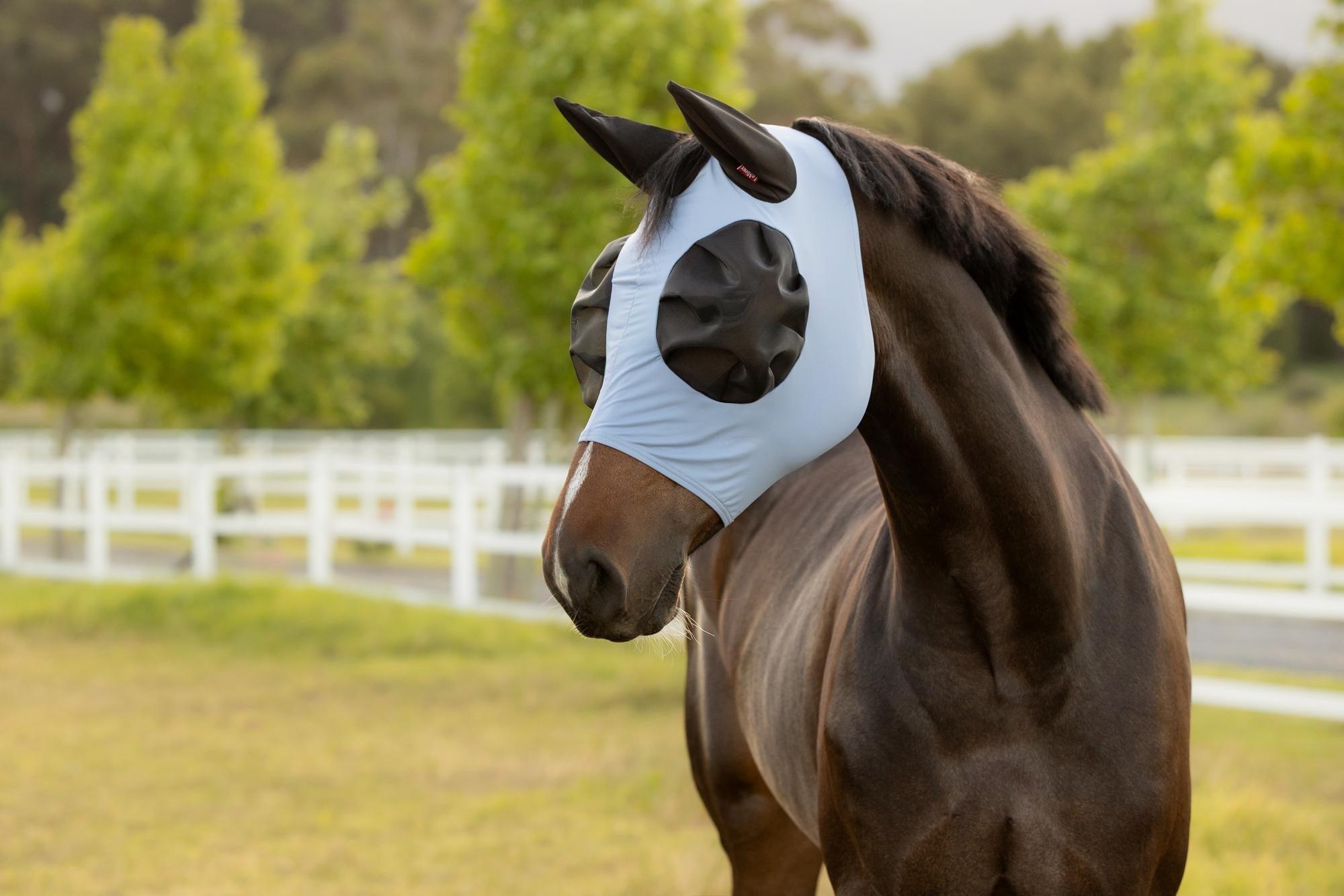 LeMieux Bug Relief Fly Mask Powder Blue-Fly Mask-LeMieux-XSmall (Small Pony)-Evolution Equestrian Co.