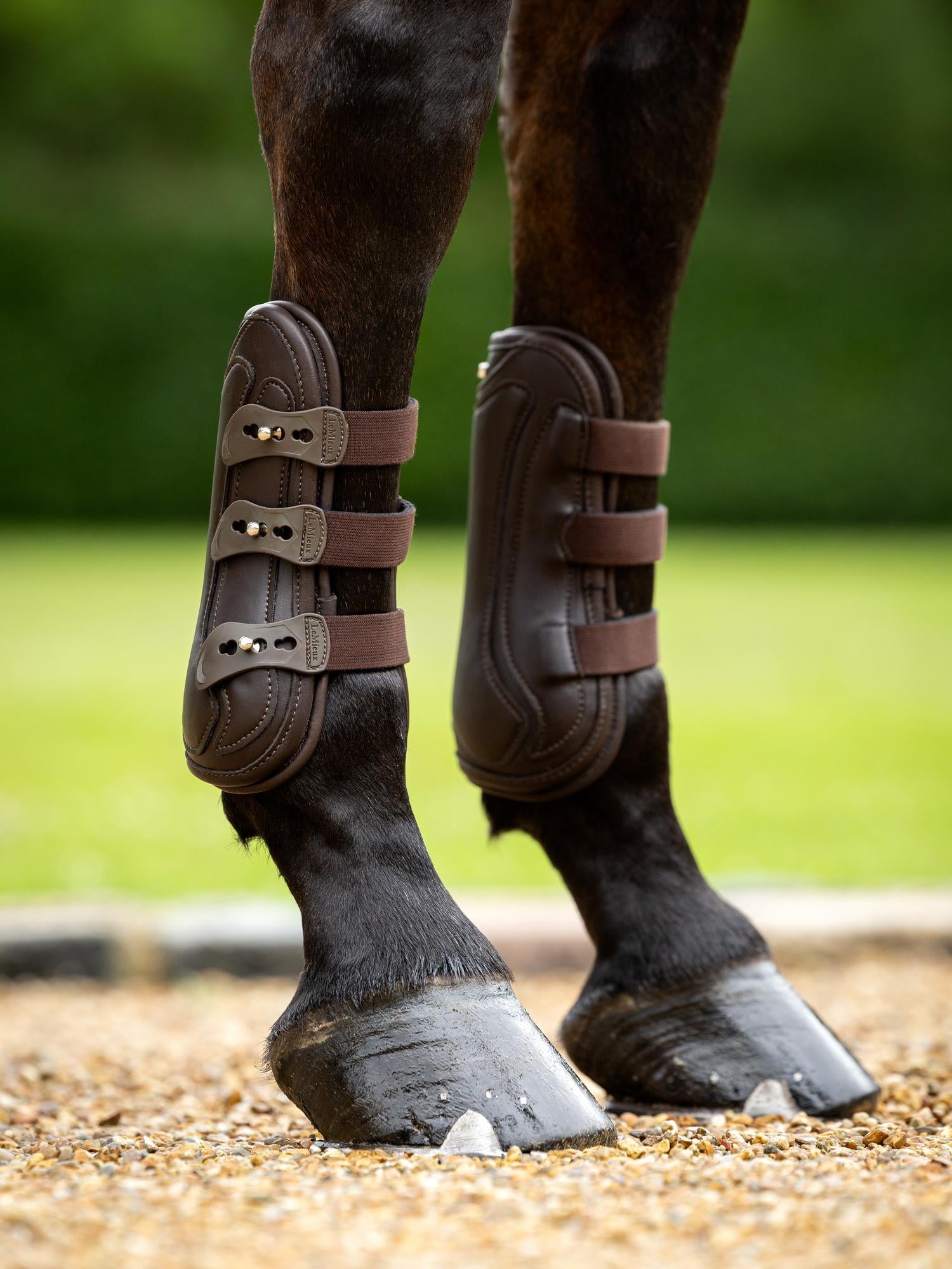 LeMieux Capella 3 Strap Tendon Boots-Horse Boots-LeMieux-Brown-Medium-Evolution Equestrian Co.