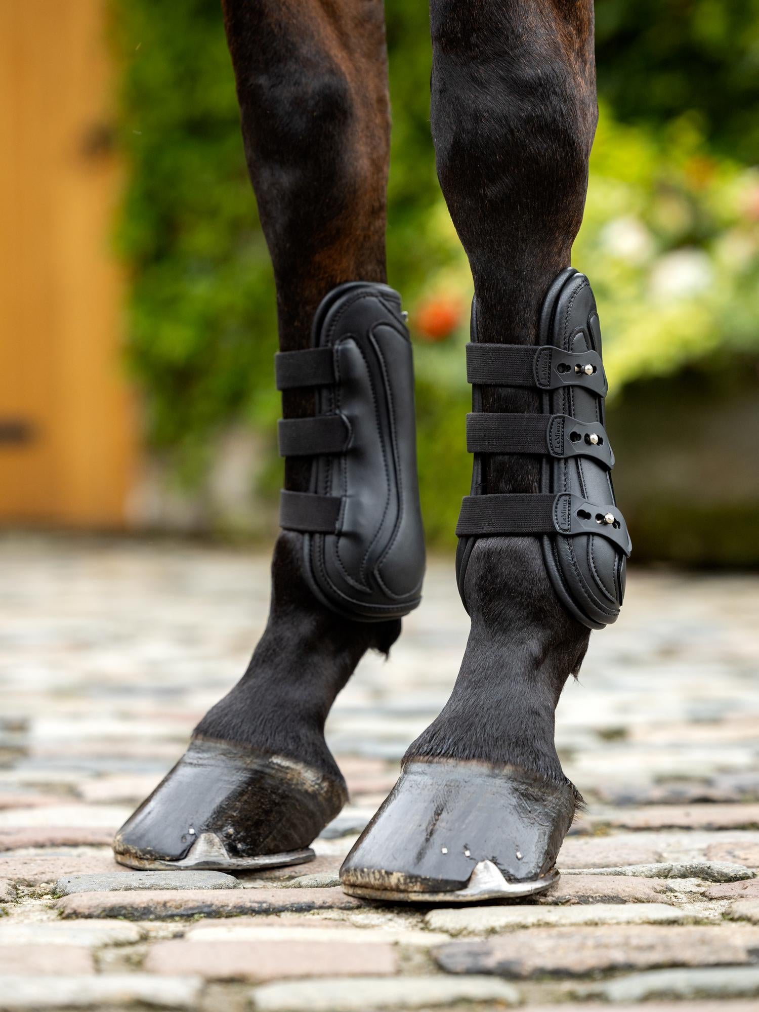 LeMieux Capella 3 Strap Tendon Boots-Horse Boots-LeMieux-Black-Medium-Evolution Equestrian Co.