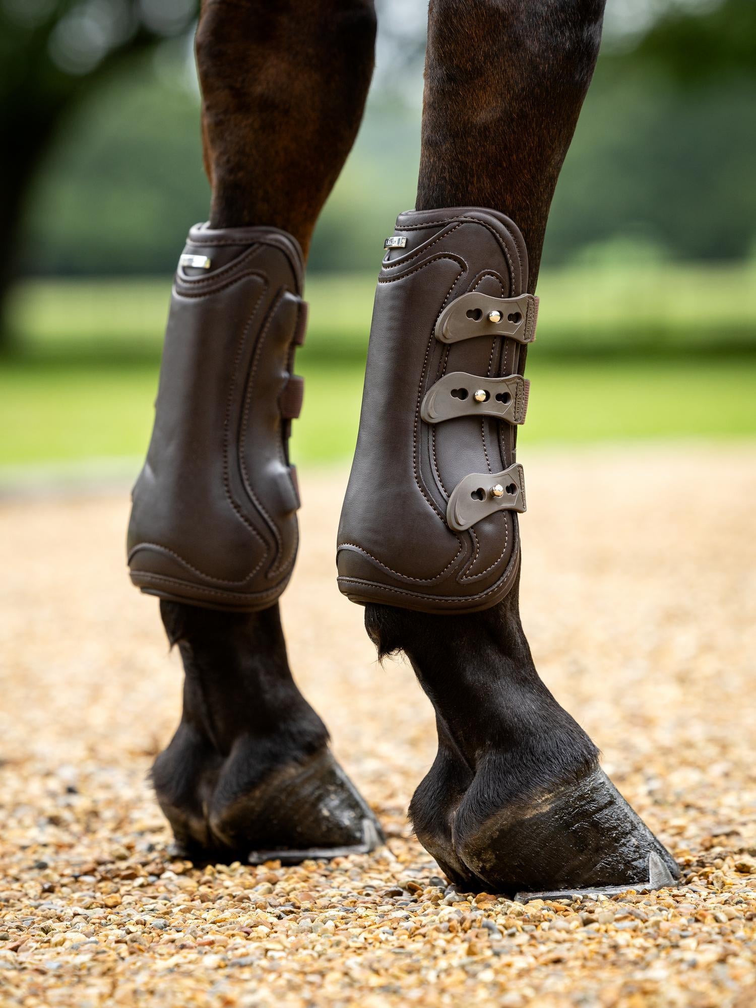 LeMieux Capella 3 Strap Tendon Boots-Horse Boots-LeMieux-Black-Medium-Evolution Equestrian Co.