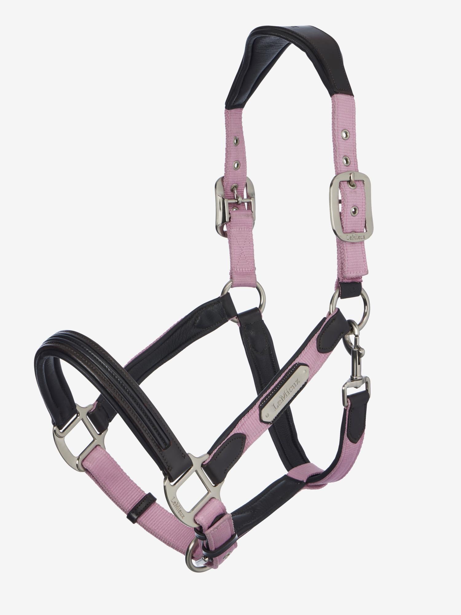LeMieux Capella Halter Fondant-Halter-LeMieux-Cob-Evolution Equestrian Co.