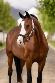 LeMieux Capella Halter Fondant-Halter-LeMieux-Cob-Evolution Equestrian Co.