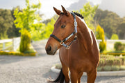 LeMieux Capella Halter Powder Blue-Halter-LeMieux-Cob-Evolution Equestrian Co.