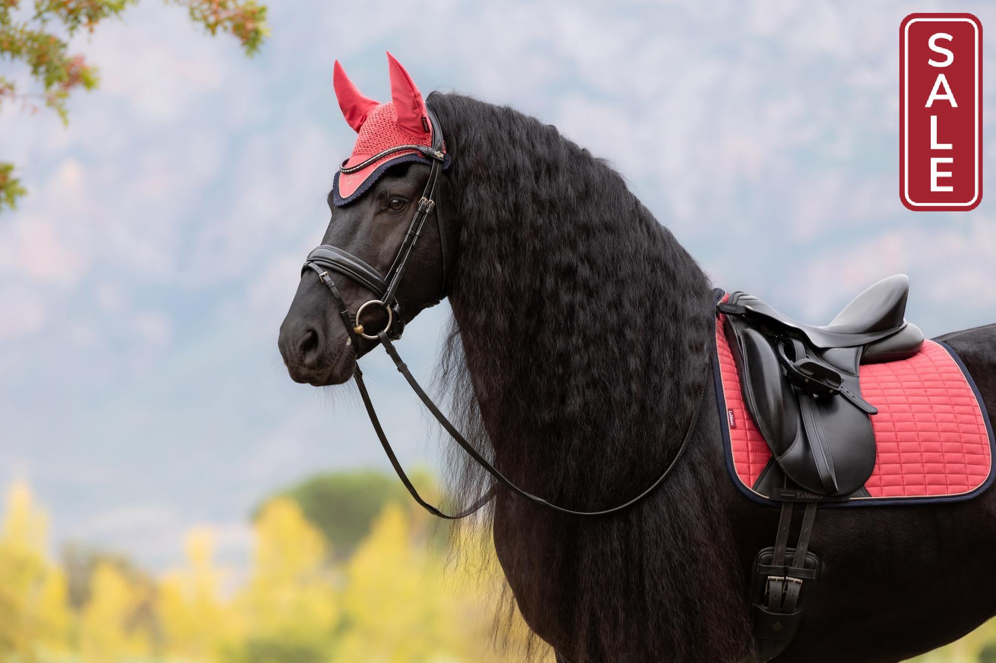 LeMieux Classic Fly Bonnet Cranberry-English Accessories-LeMieux-Medium / Cob-Evolution Equestrian Co.