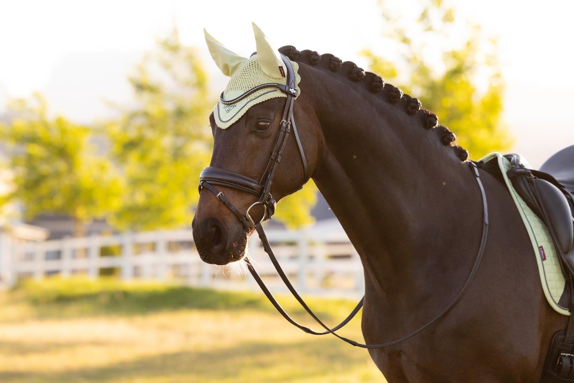 LeMieux Classic Fly Bonnet Macaron-Bonnet-LeMieux-Medium-Evolution Equestrian Co.