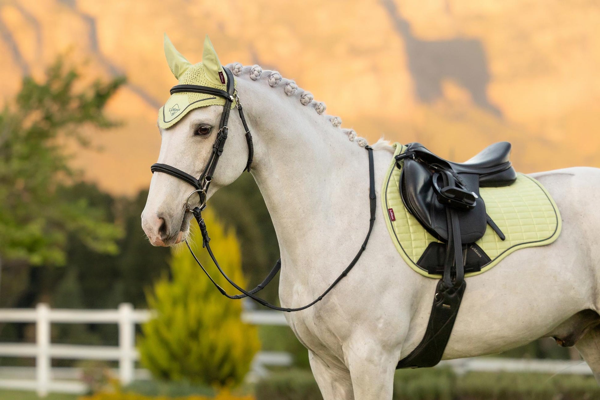 LeMieux Classic Fly Bonnet Macaron-Bonnet-LeMieux-Medium-Evolution Equestrian Co.