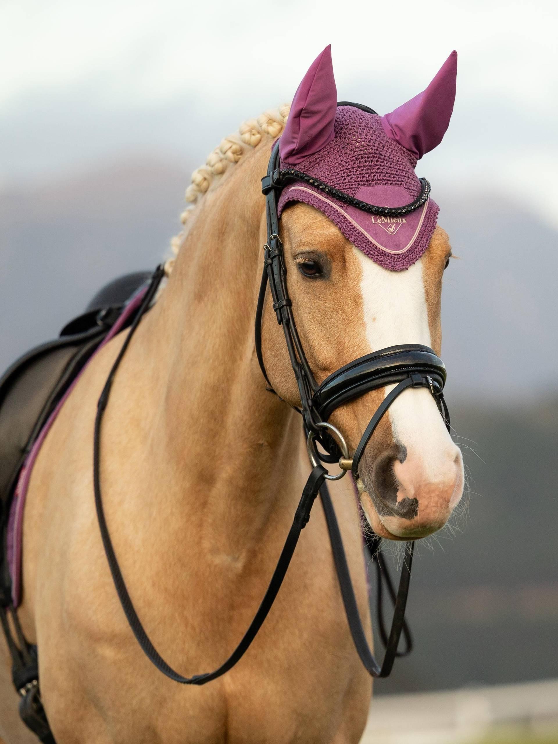 LeMieux Classic Fly Bonnet Mallow-Bonnet-LeMieux-Medium-Evolution Equestrian Co.