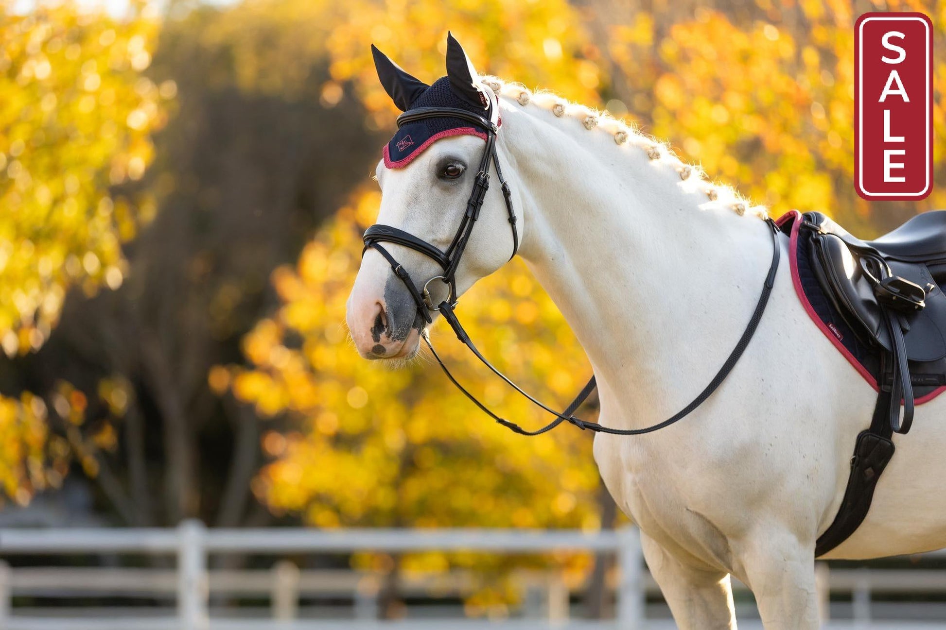LeMieux Classic Fly Bonnet Navy Cranberry-English Accessories-LeMieux-Medium / Cob-Evolution Equestrian Co.