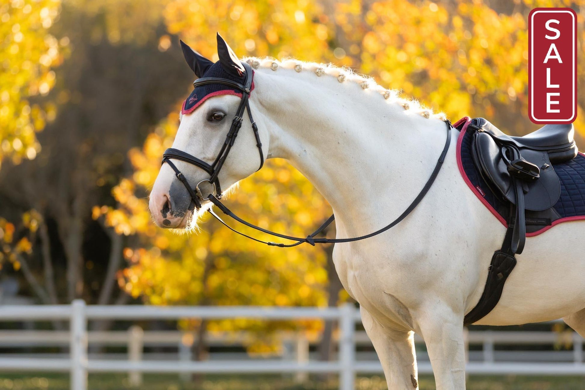 LeMieux Classic Fly Bonnet Navy Cranberry-English Accessories-LeMieux-Medium / Cob-Evolution Equestrian Co.