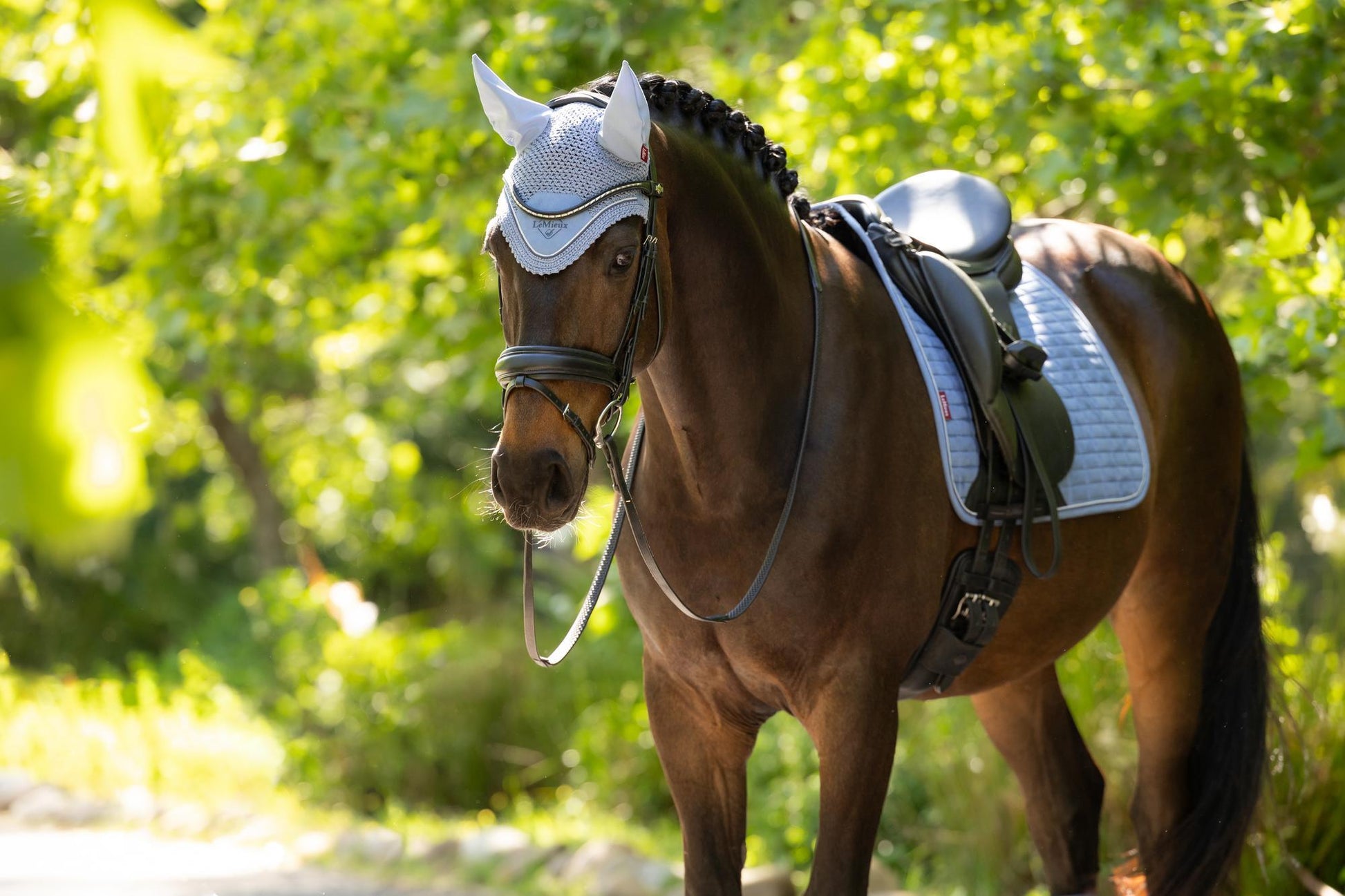 LeMieux Classic Fly Bonnet Powder Blue-Bonnet-LeMieux-Medium-Evolution Equestrian Co.