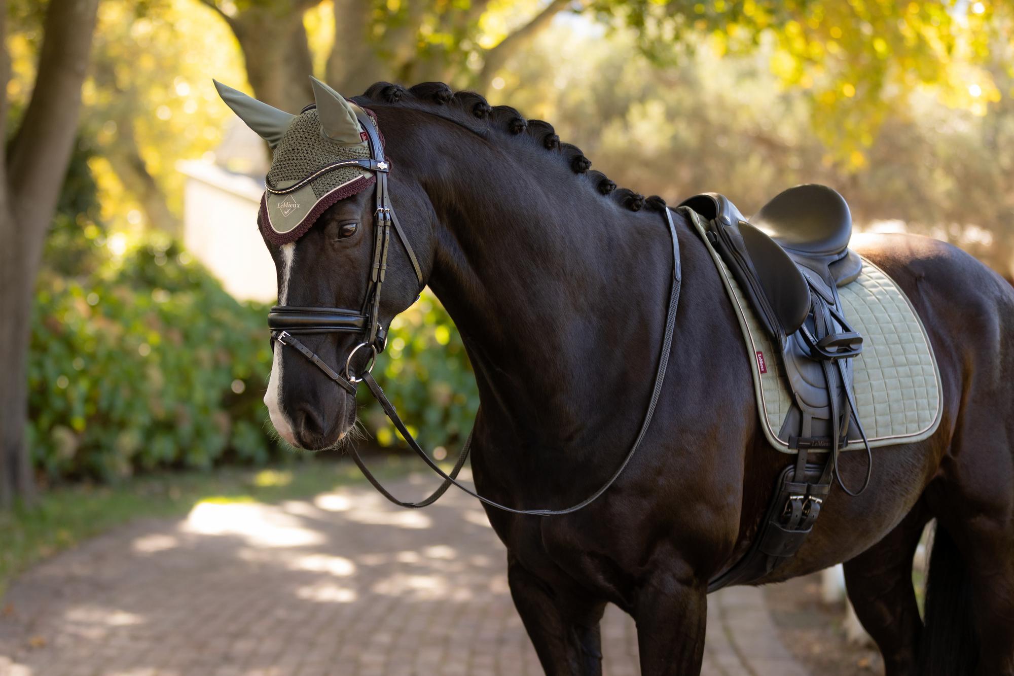 LeMieux Classic Fly Bonnet Rosemary-English Accessories-LeMieux-Medium / Cob-Evolution Equestrian Co.