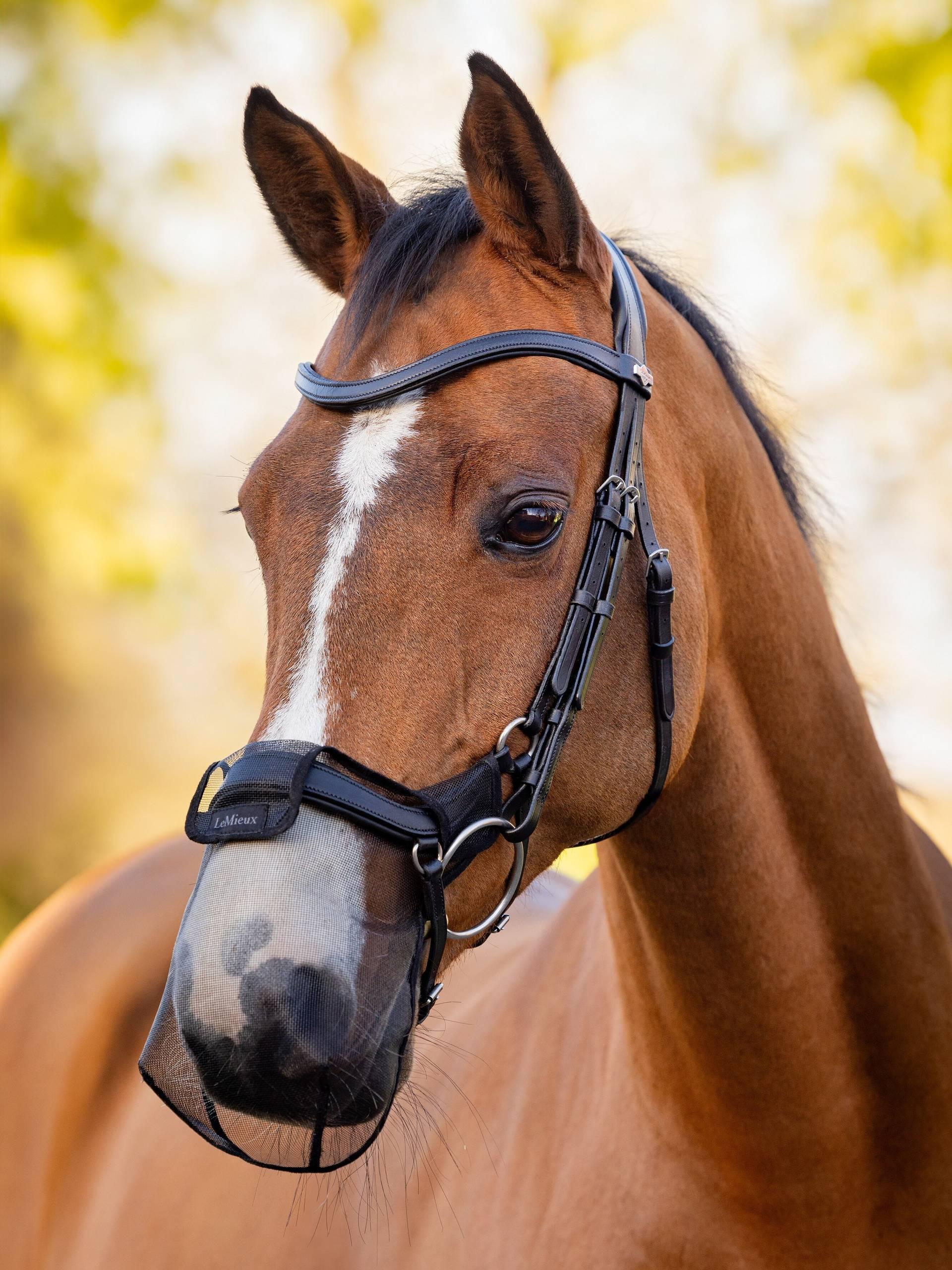 LeMieux Comfort Shield Drop Nose Cover-English Accessories-LeMieux-Black-Medium (Cob)-Evolution Equestrian Co.