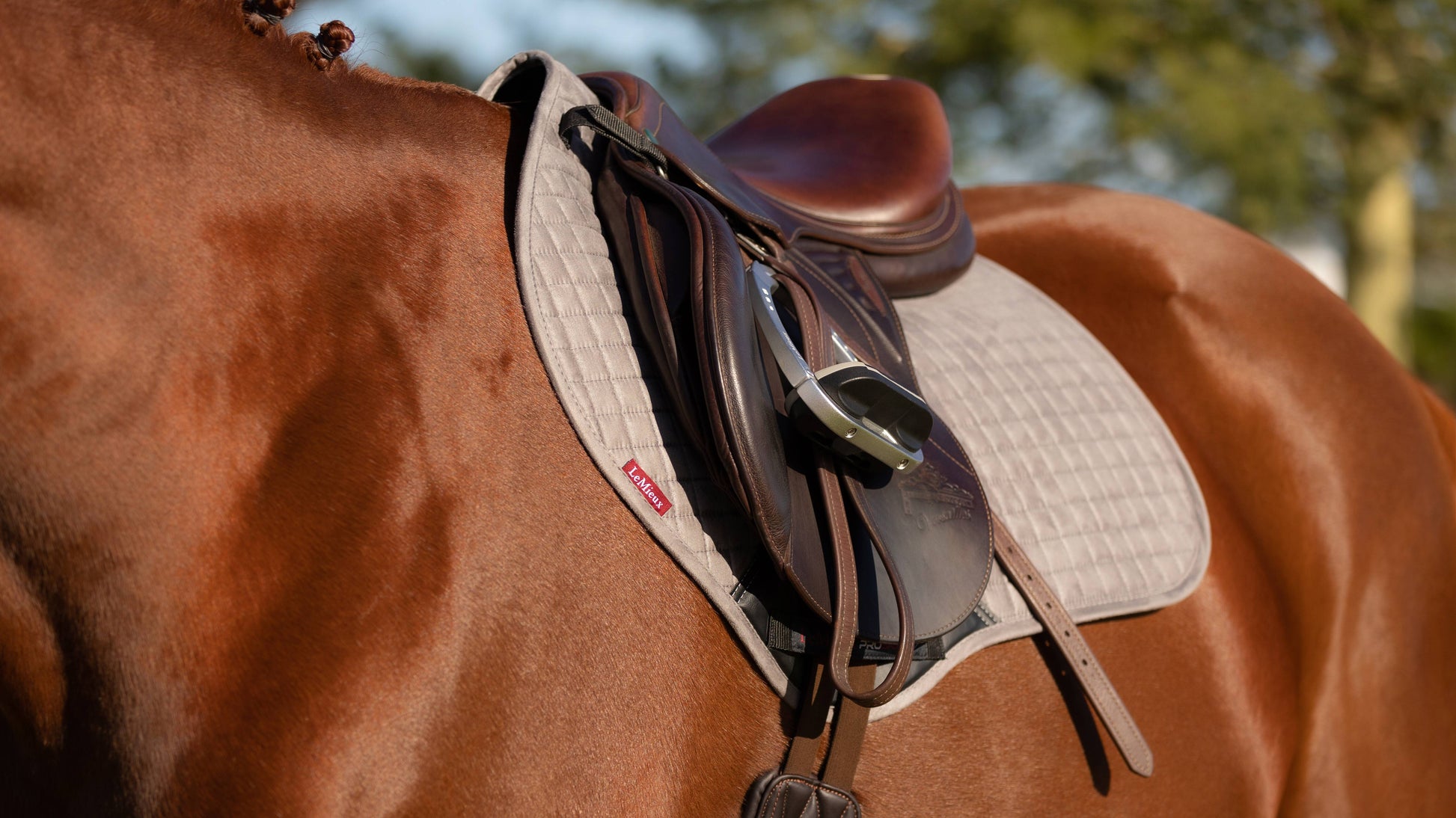 LeMieux Cotton Close Contact English Saddle Pad-English Saddle Pad-LeMieux-Small (Cob)-Navy-Evolution Equestrian Co.