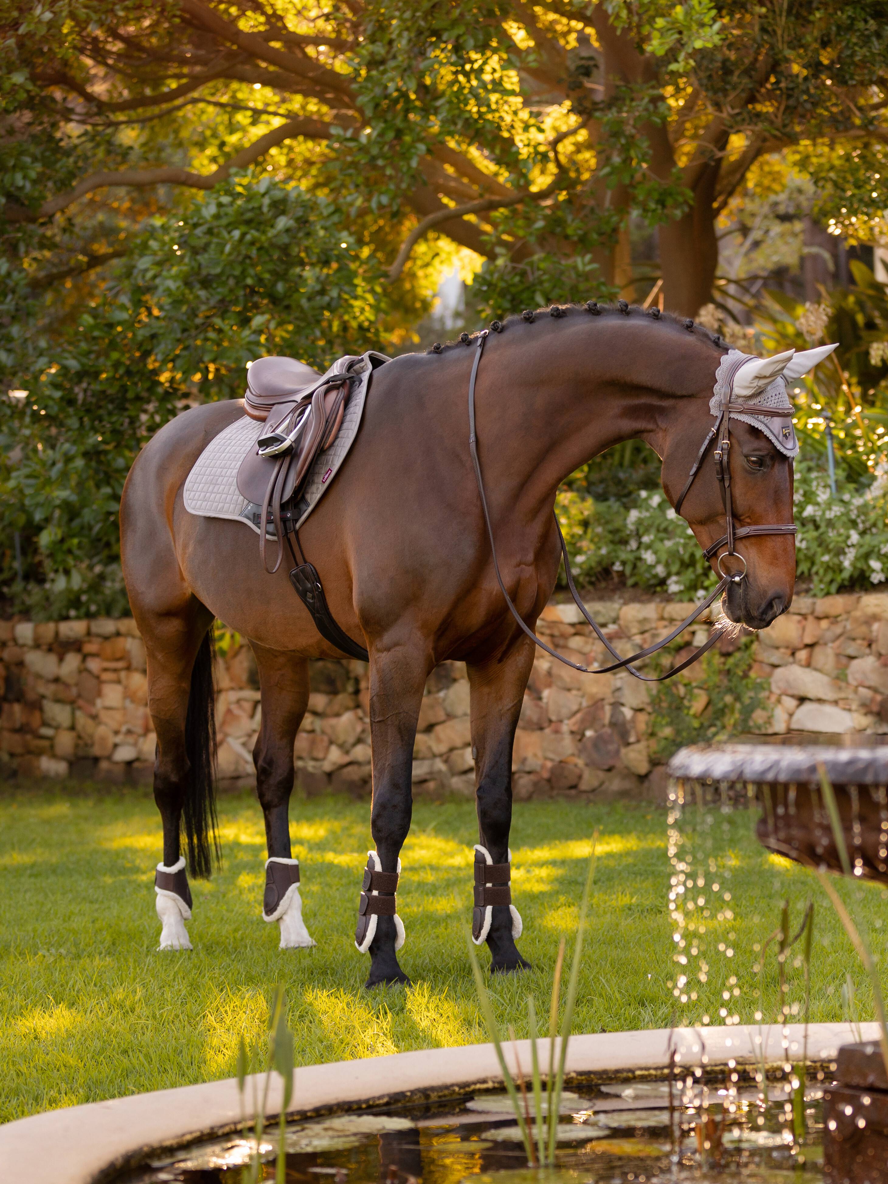 LeMieux Cotton Close Contact English Saddle Pad-English Saddle Pad-LeMieux-Small (Cob)-Navy-Evolution Equestrian Co.