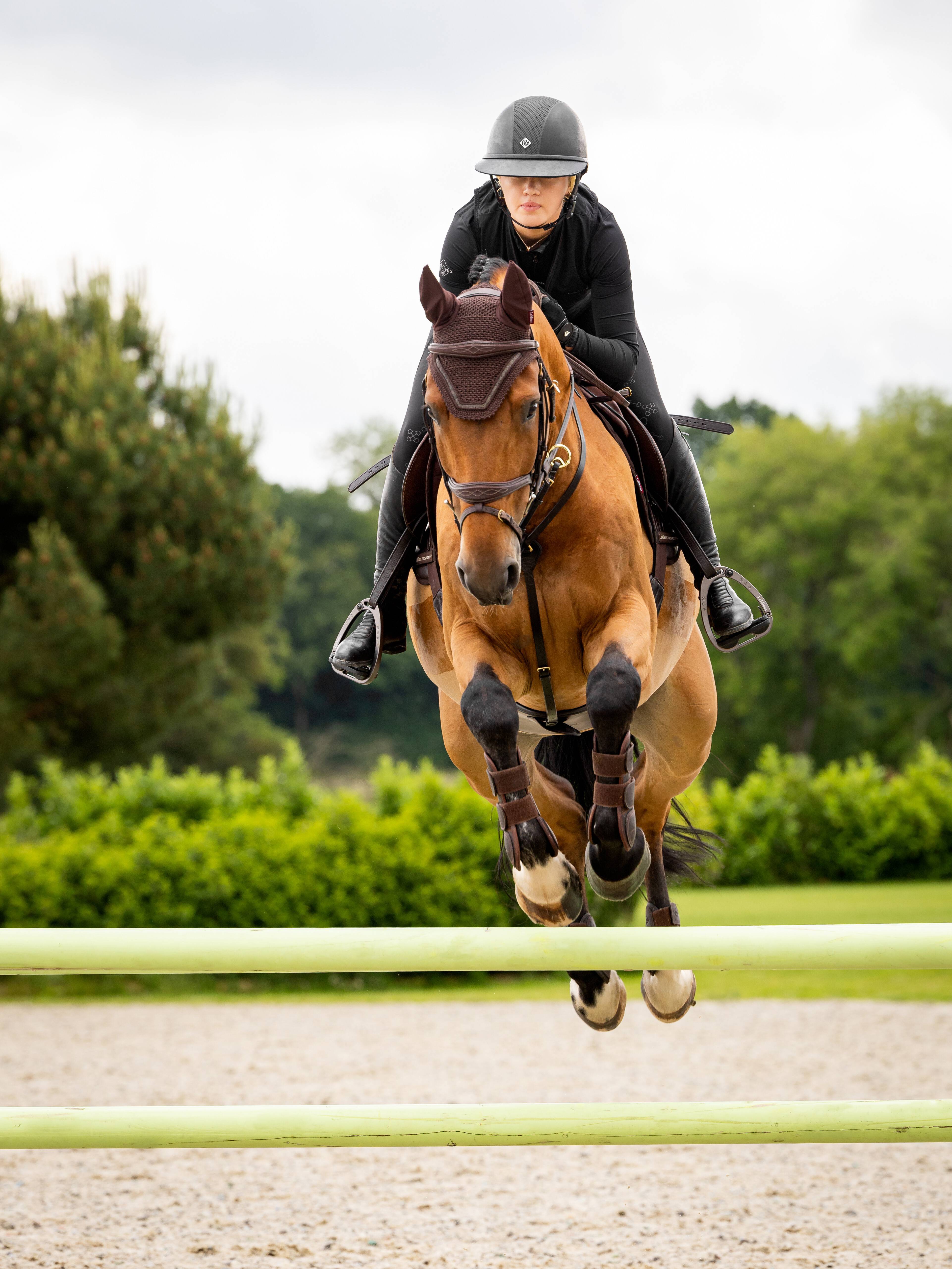 LeMieux Crystal Fly Bonnet-English Accessories-LeMieux-Medium (Cob)-Black-Evolution Equestrian Co.