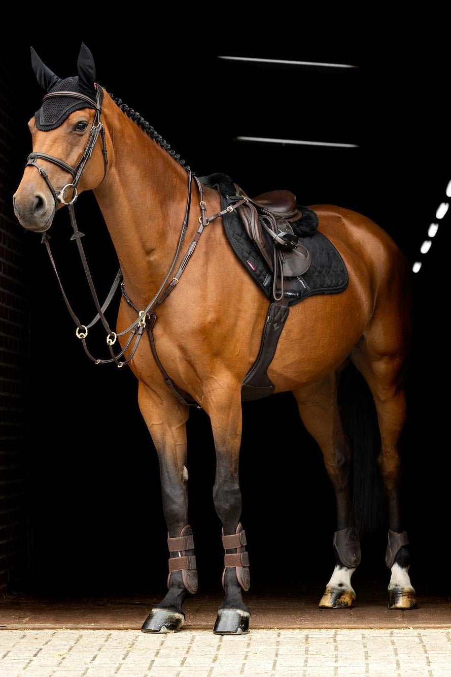 LeMieux Crystal Suede Close Contact Saddle Pad Black-English Saddle Pad-LeMieux-Evolution Equestrian Co.