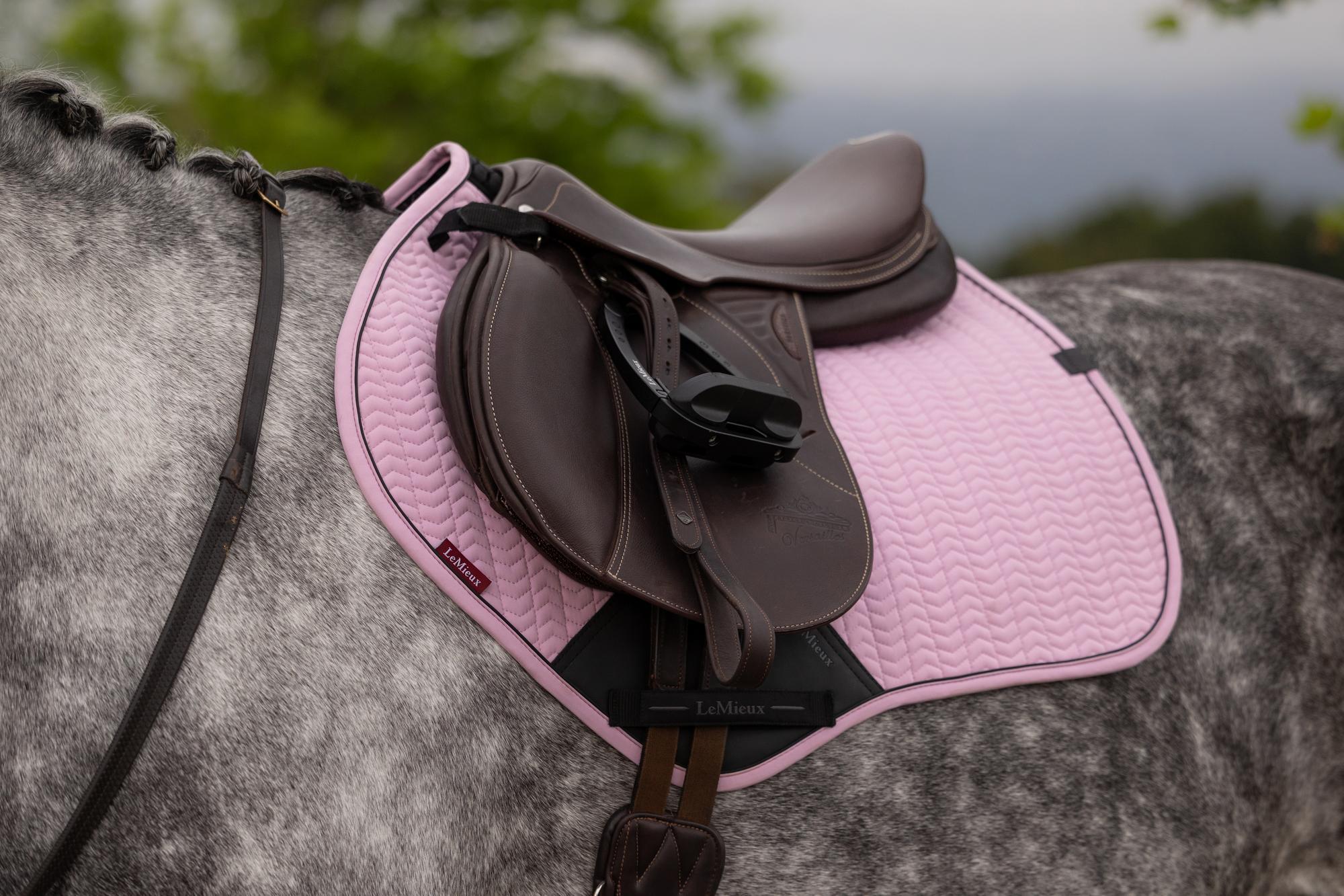 LeMieux Essence Close Contact Saddle Pad Fondant-English Saddle Pad-LeMieux-Small/Medium-Evolution Equestrian Co.